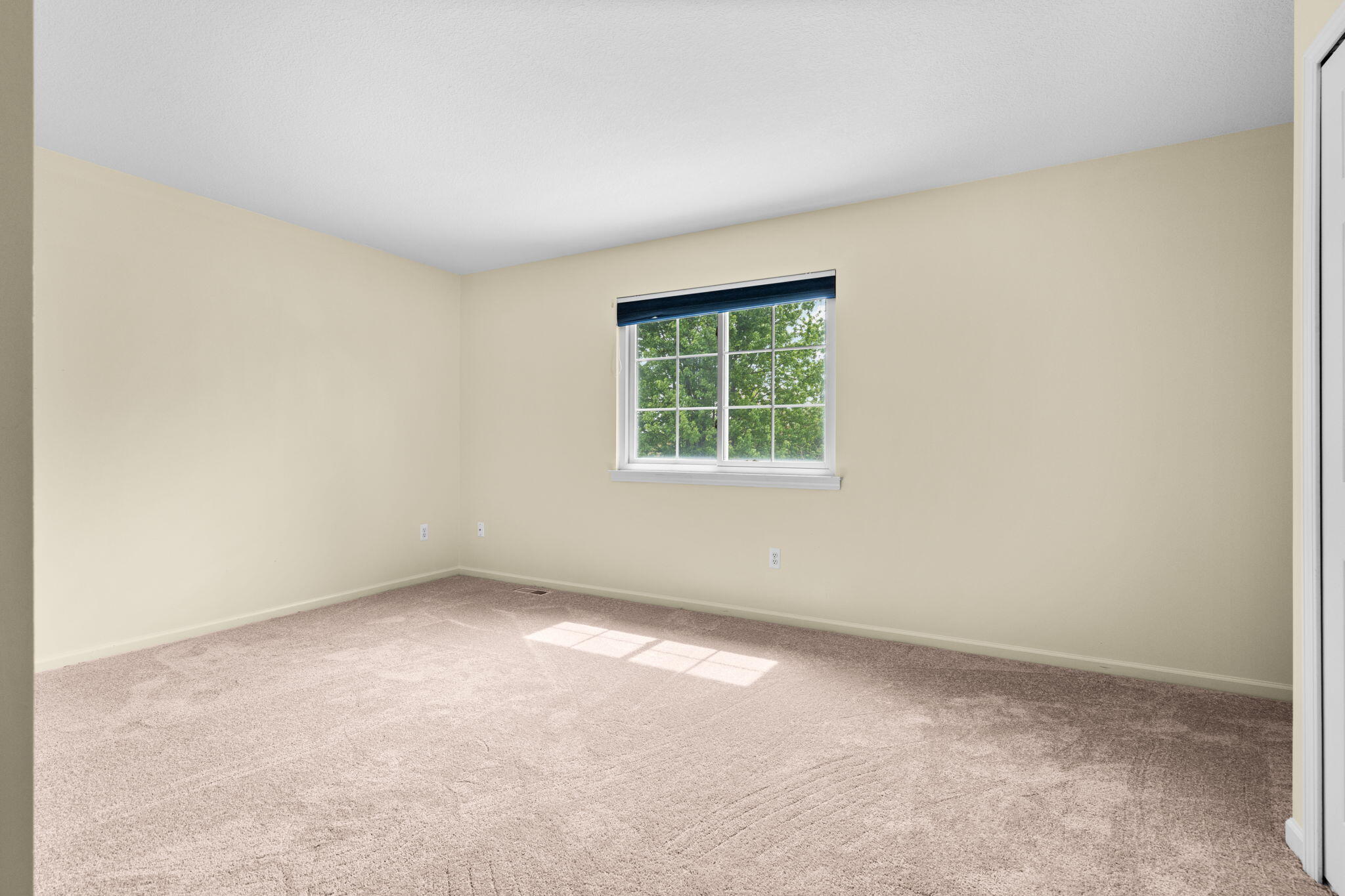 1929 Harley Drive Property Photo 23