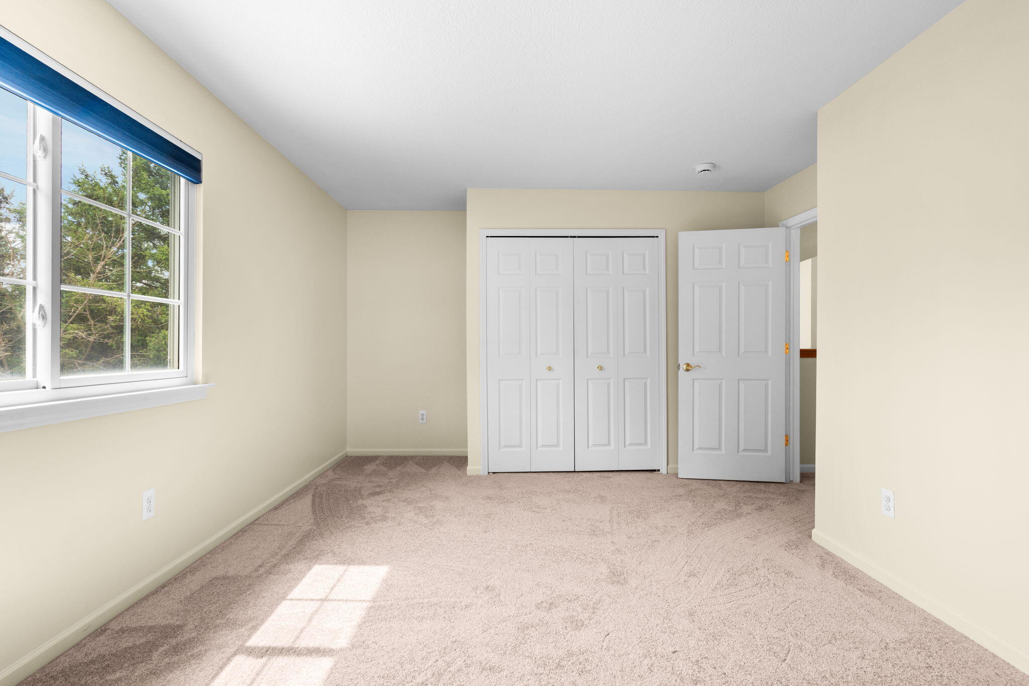 1929 Harley Drive Property Photo 24