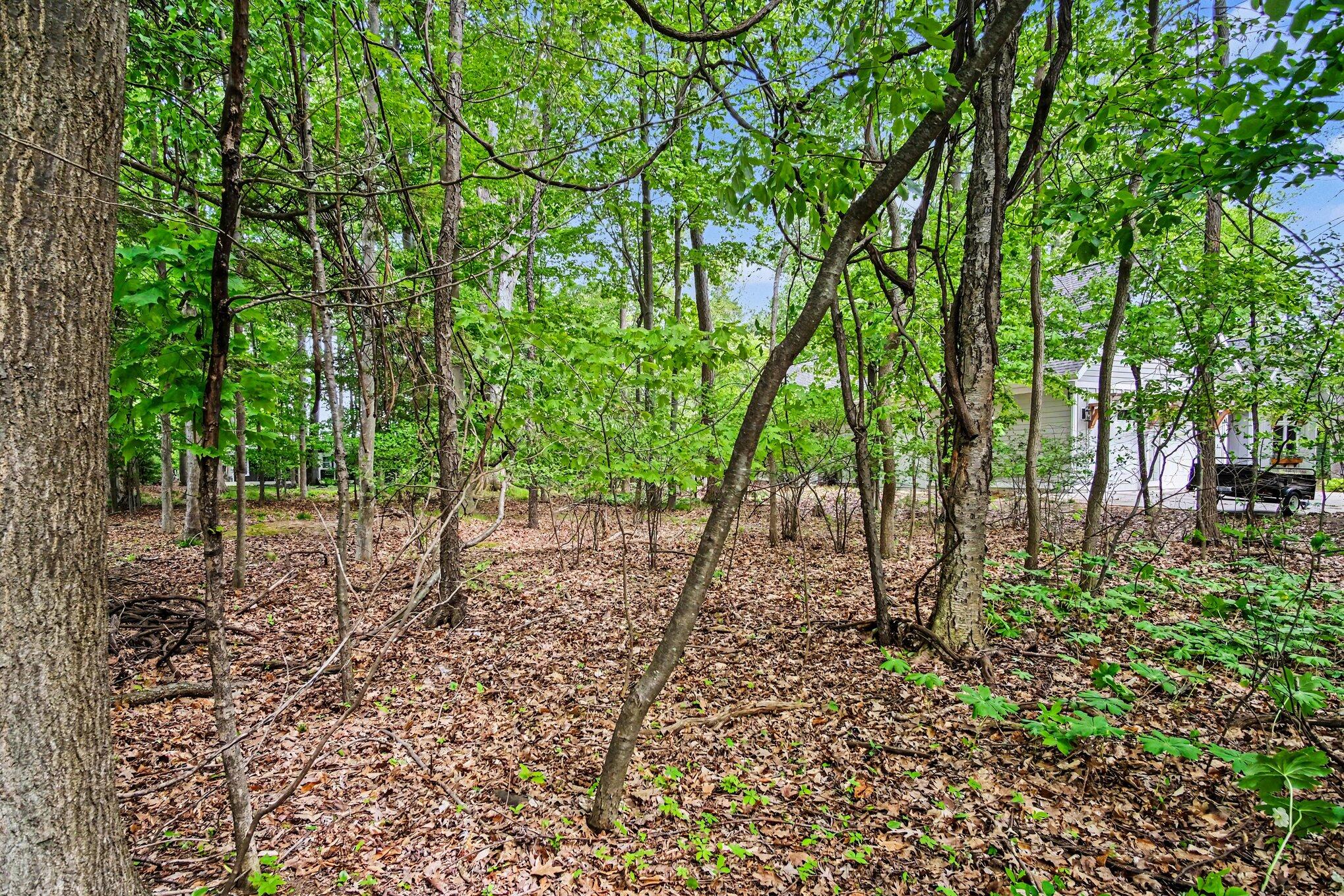 434 Beech Street Property Photo 9