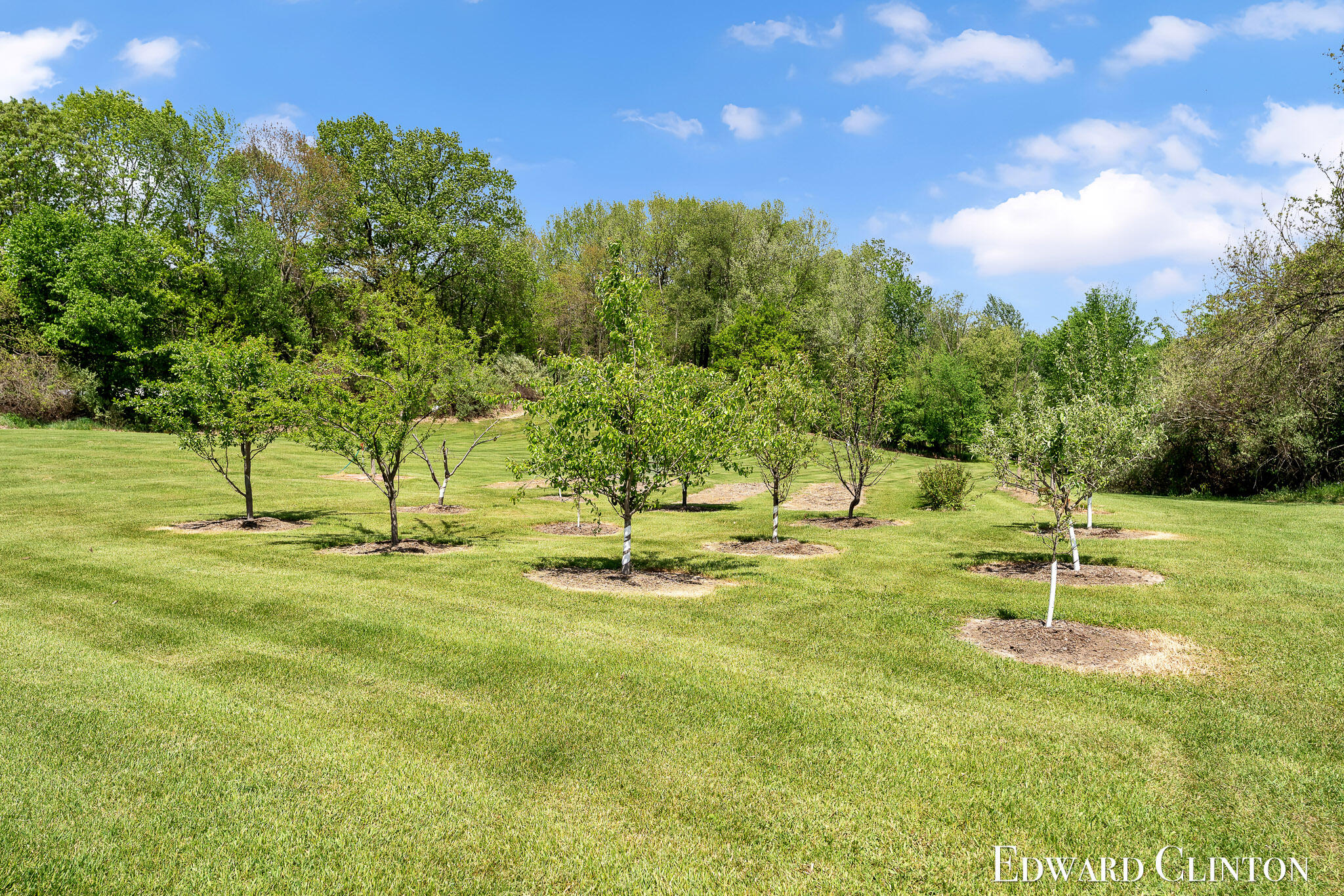 3486 W Kroman Road Property Photo 65