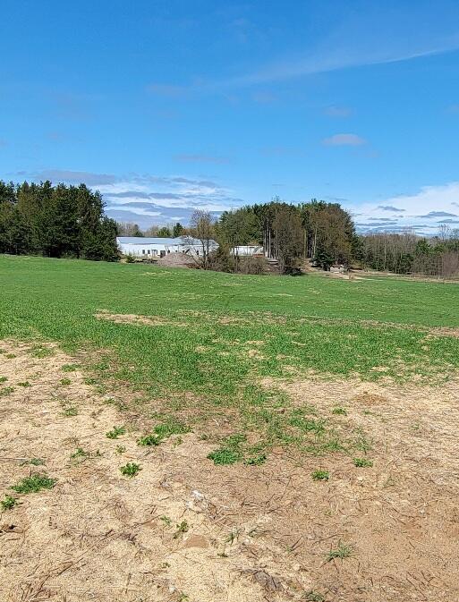 7909 11 Mile Road Property Photo 20