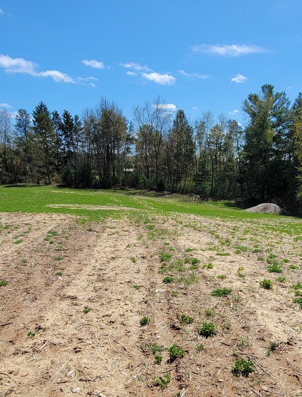 7909 11 Mile Road Property Photo 21