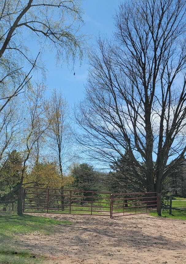 7909 11 Mile Road Property Photo 23