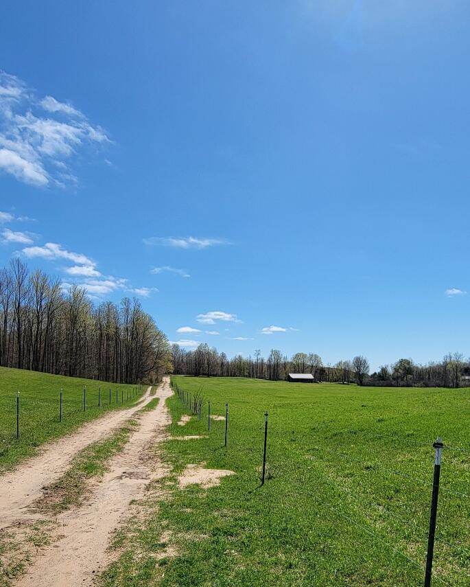 7909 11 Mile Road Property Photo 24