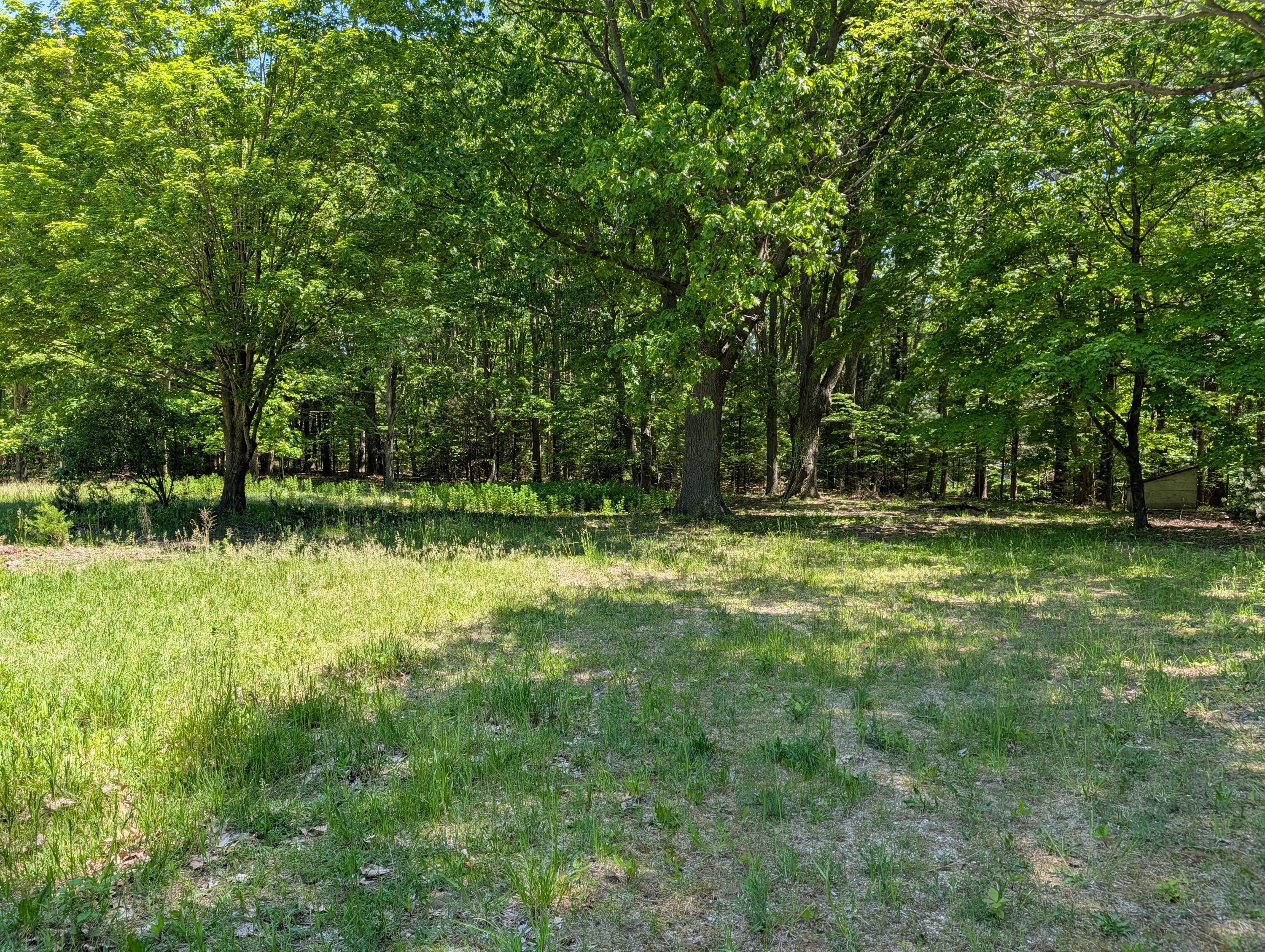 3503 65th Property Photo 1