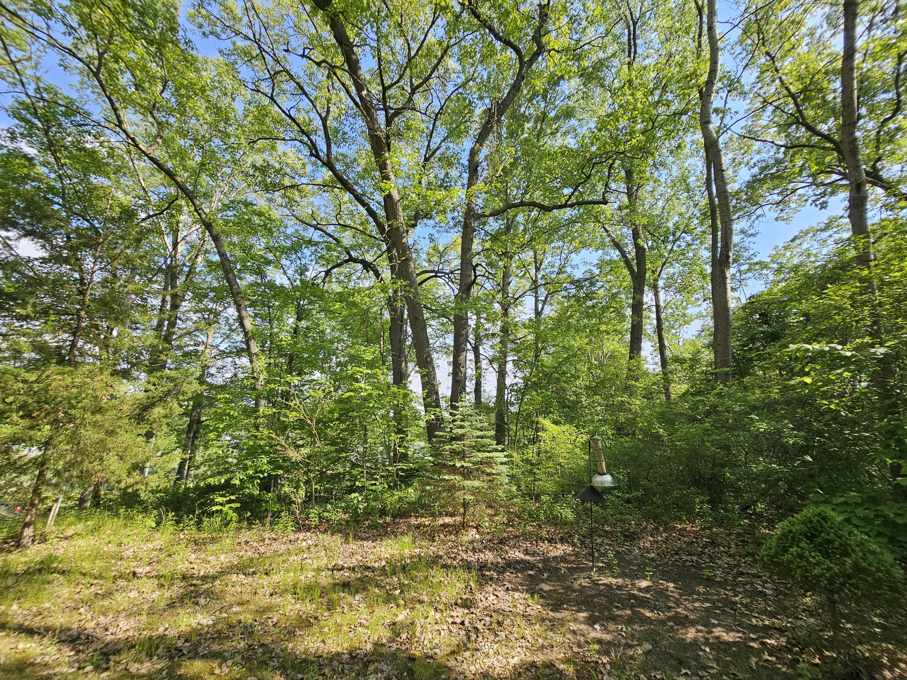 5350 Eze Street Property Photo 9
