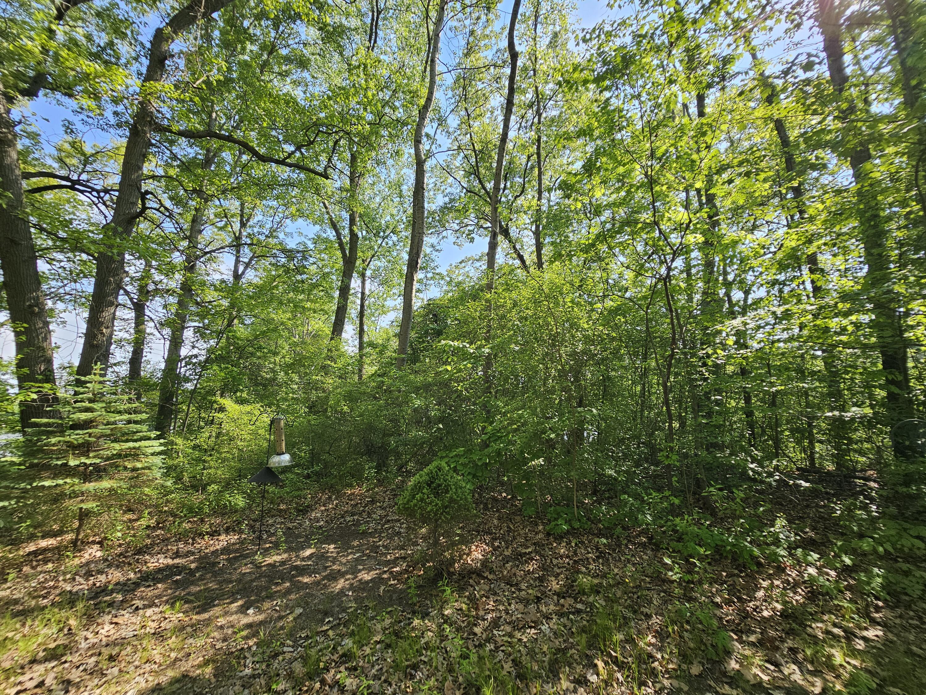 5350 Eze Street Property Photo 10
