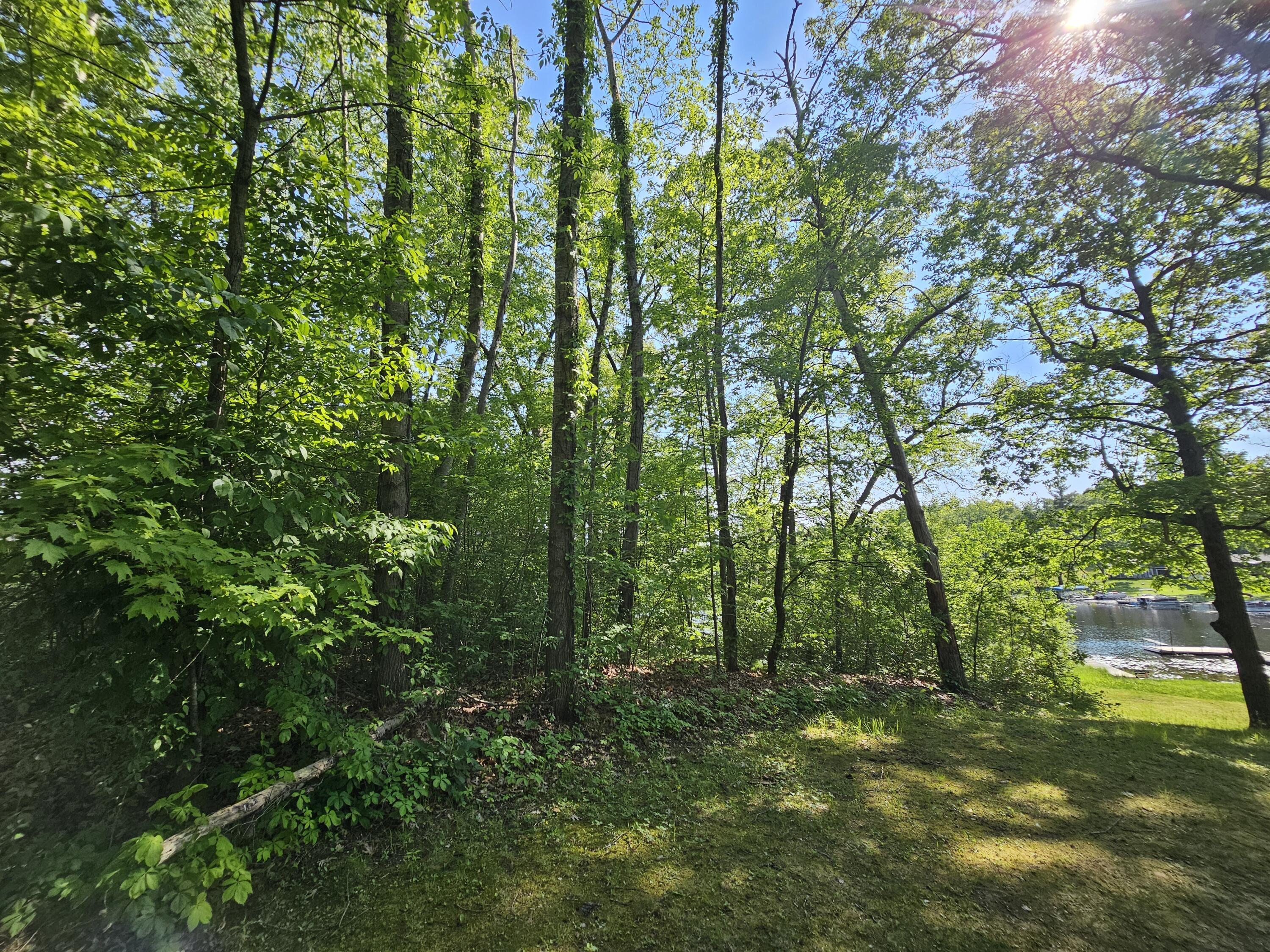 5350 Eze Street Property Photo 11