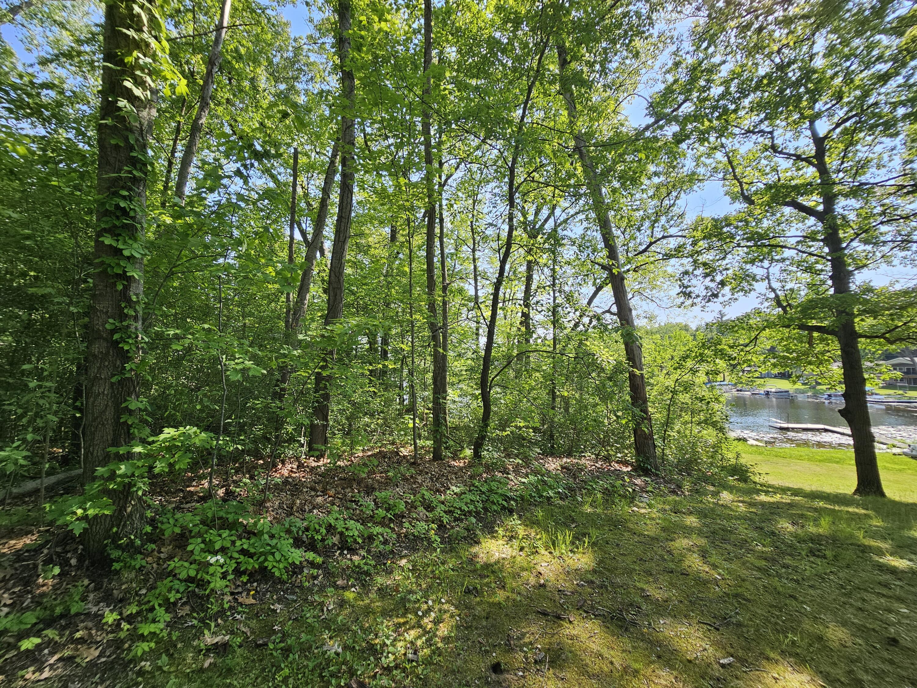 5350 Eze Street Property Photo 12