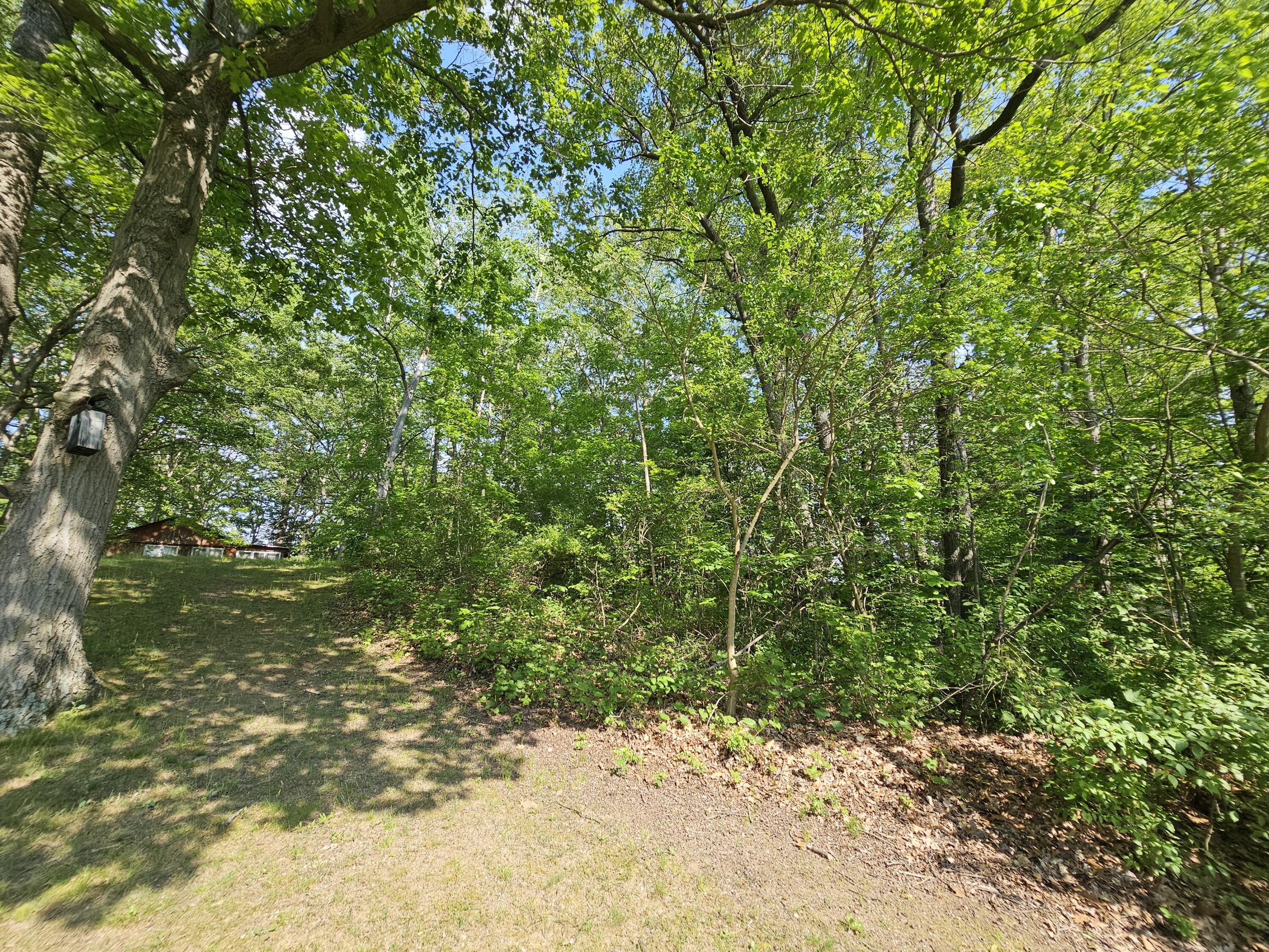 5350 Eze Street Property Photo 14