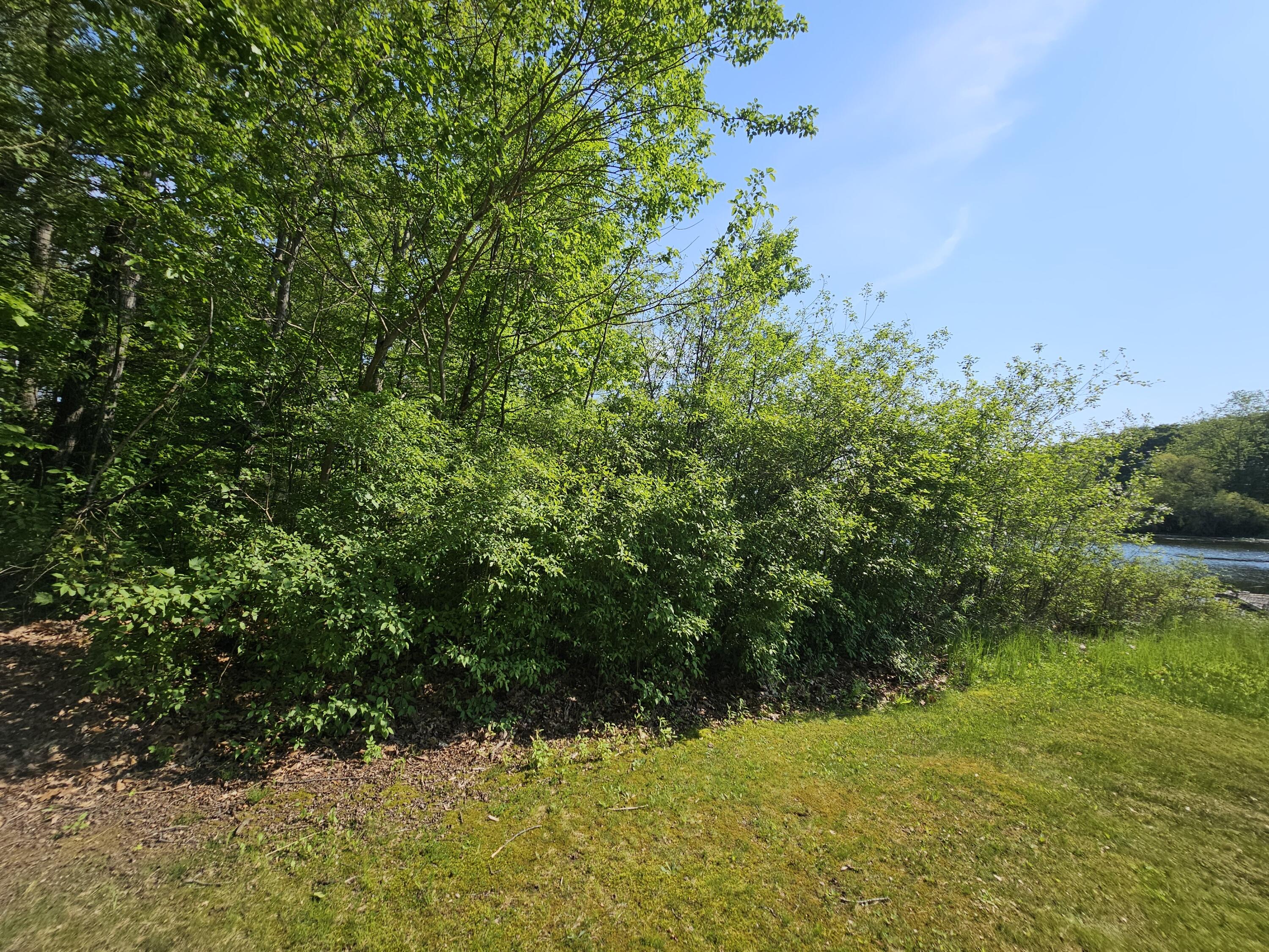 5350 Eze Street Property Photo 15