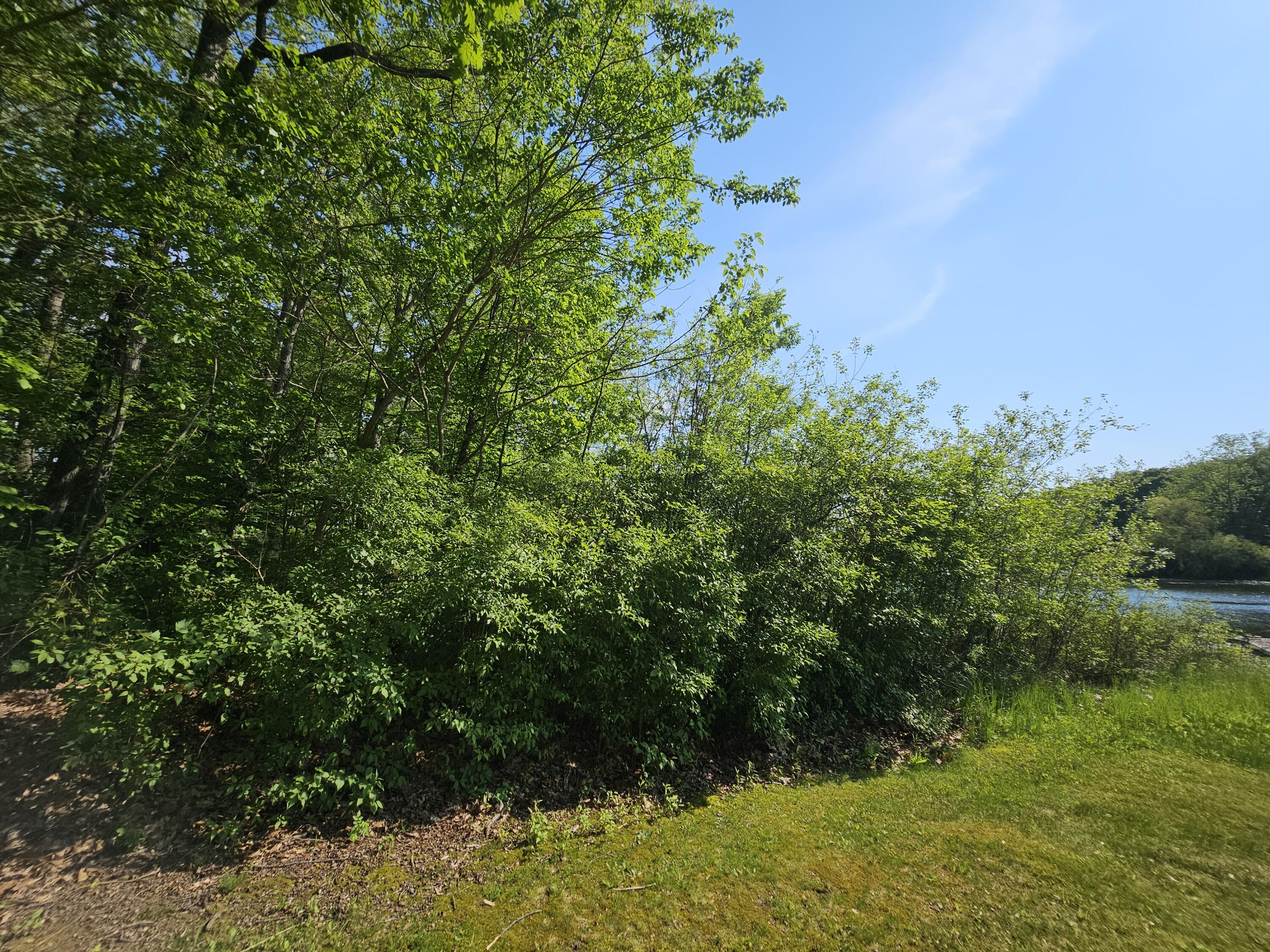 5350 Eze Street Property Photo 16