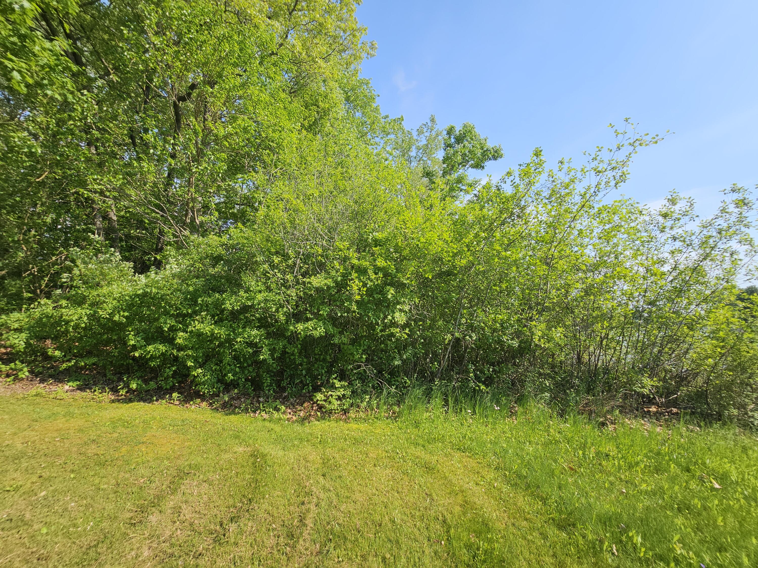 5350 Eze Street Property Photo 20