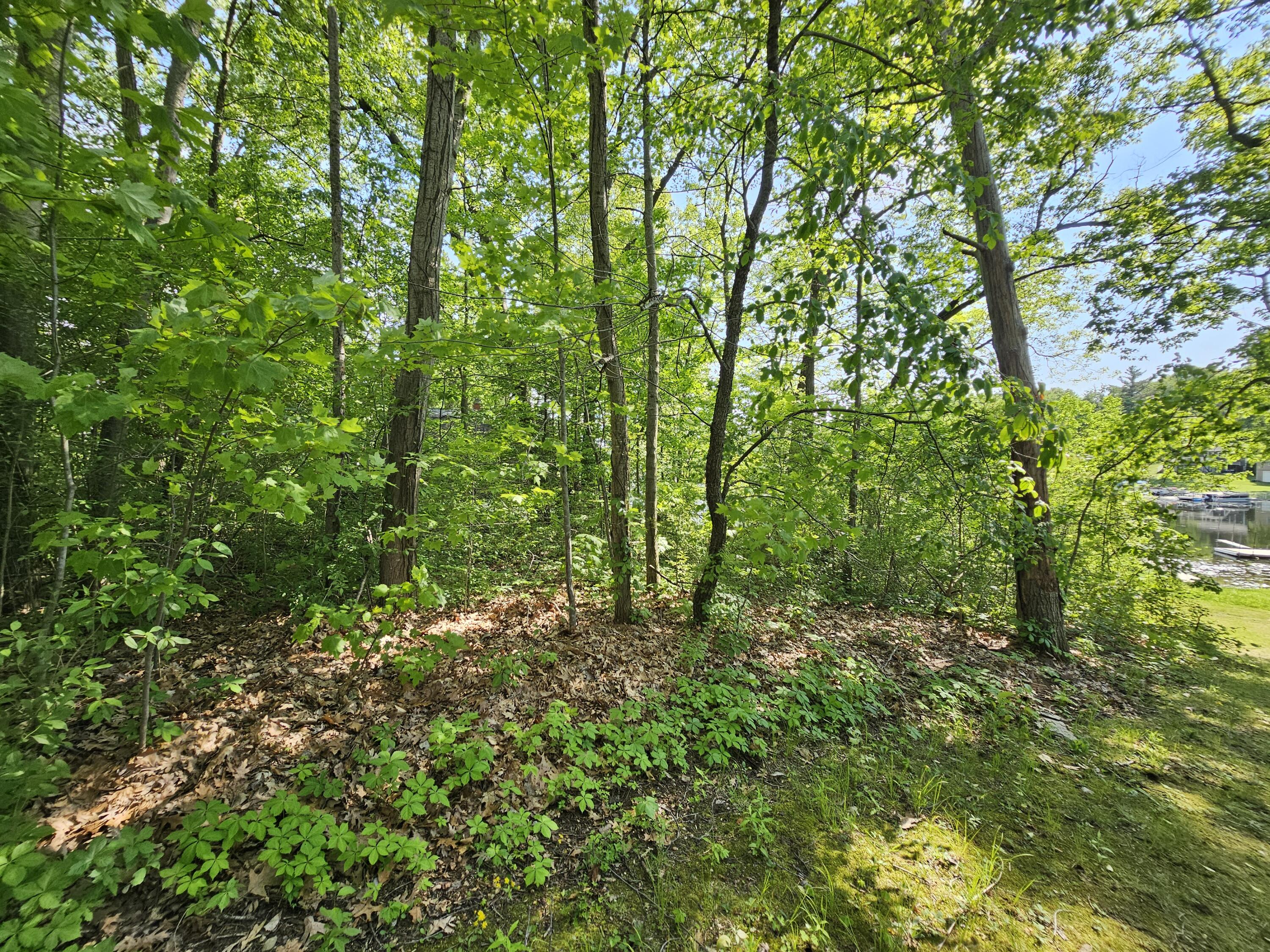 5350 Eze Street Property Photo 21