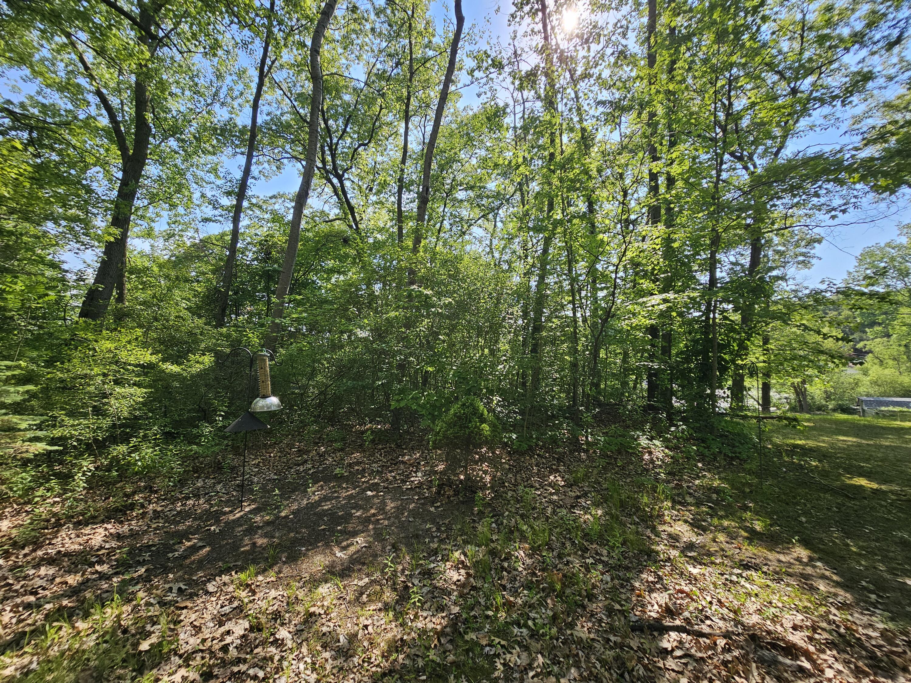 5350 Eze Street Property Photo 22