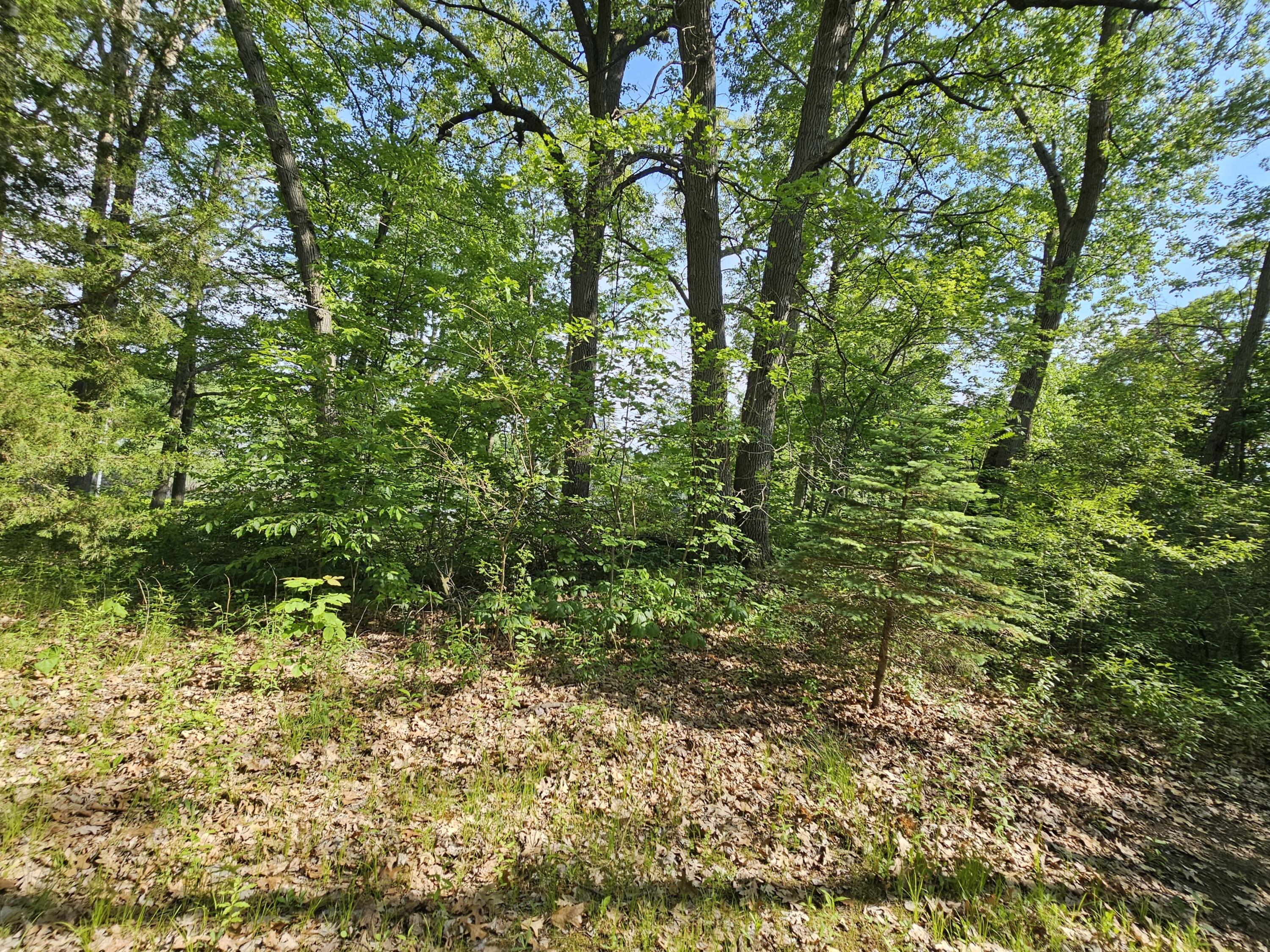 5350 Eze Street Property Photo 23