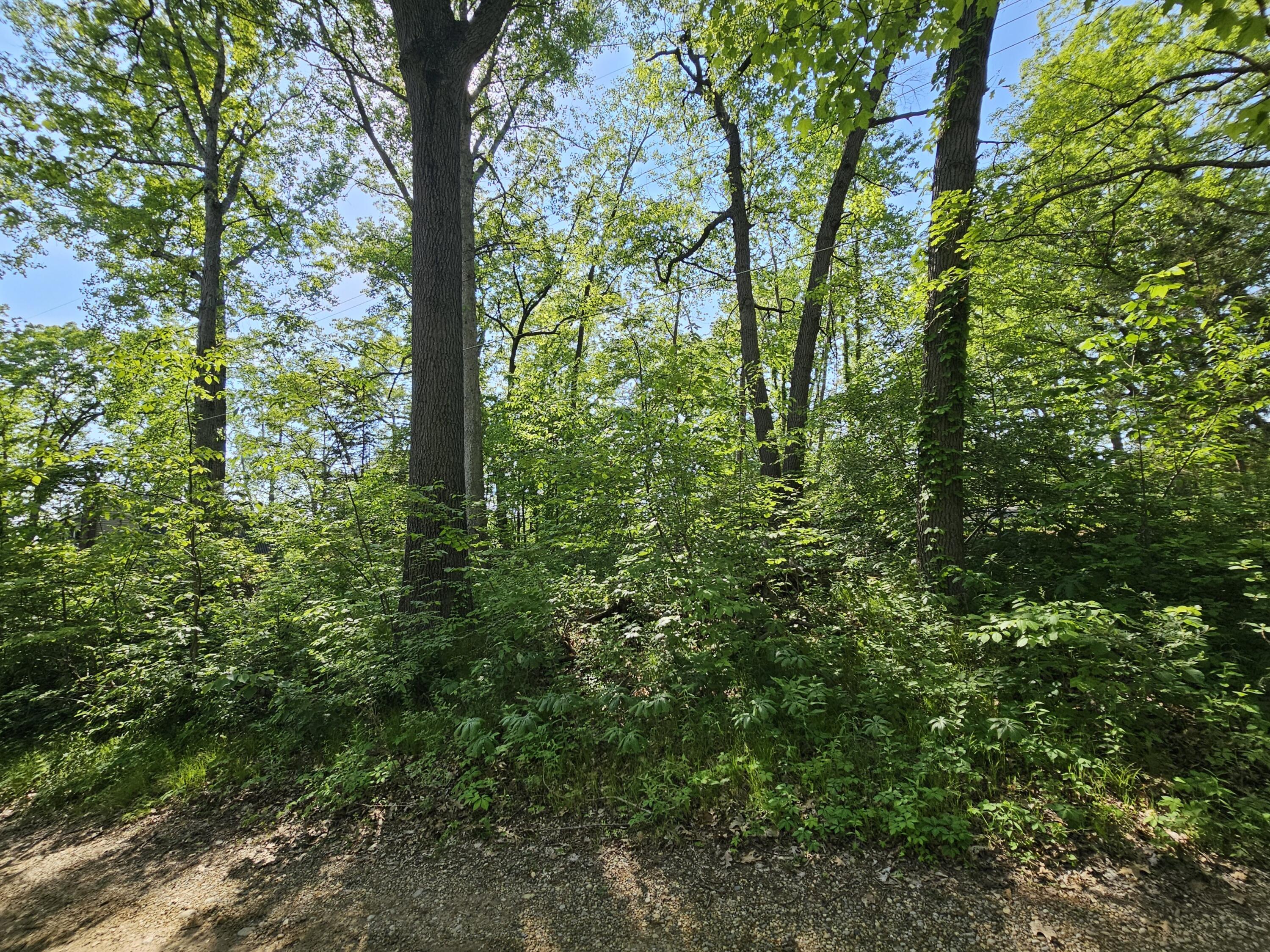 5350 Eze Street Property Photo 27