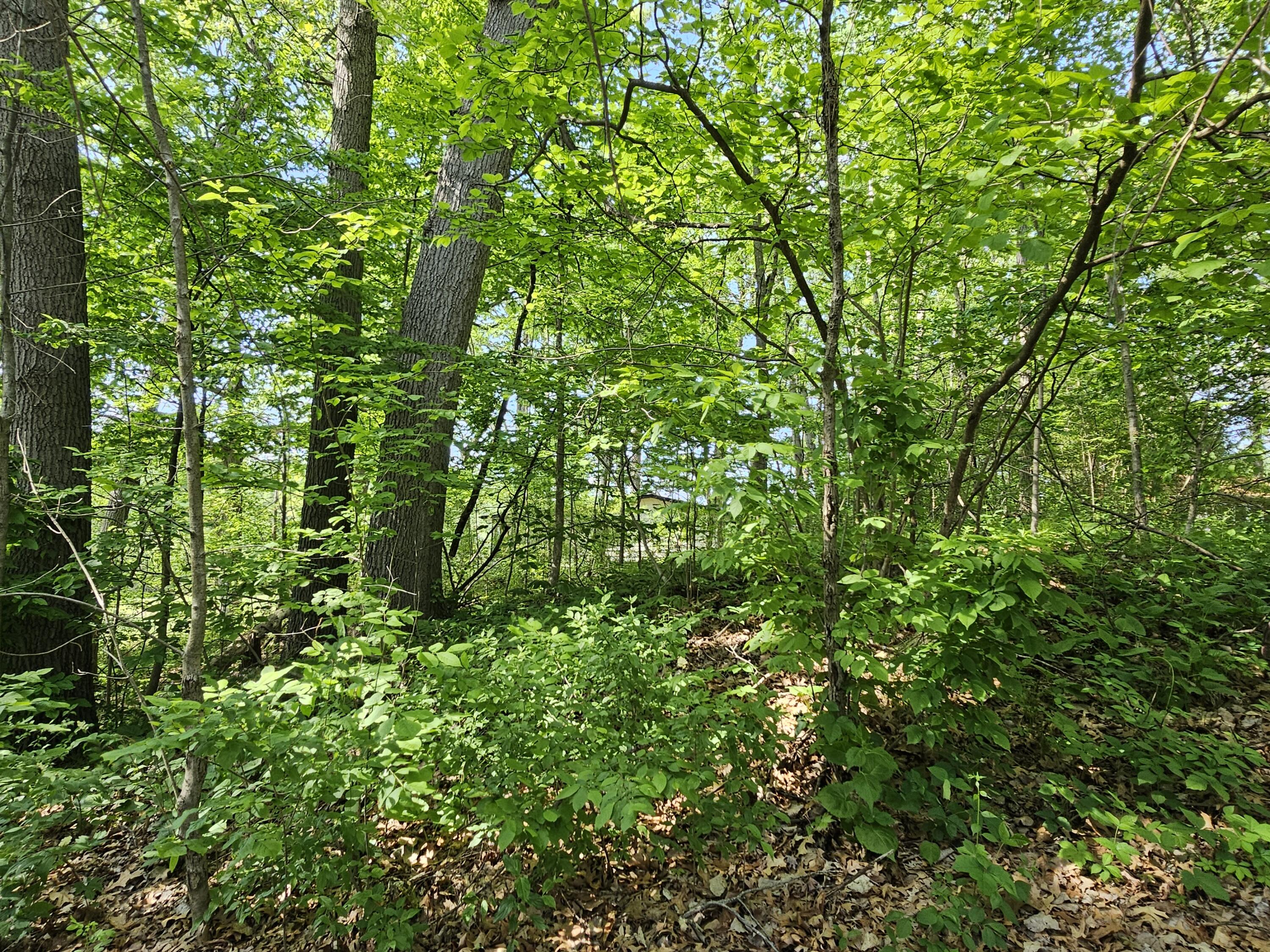 5350 Eze Street Property Photo 29