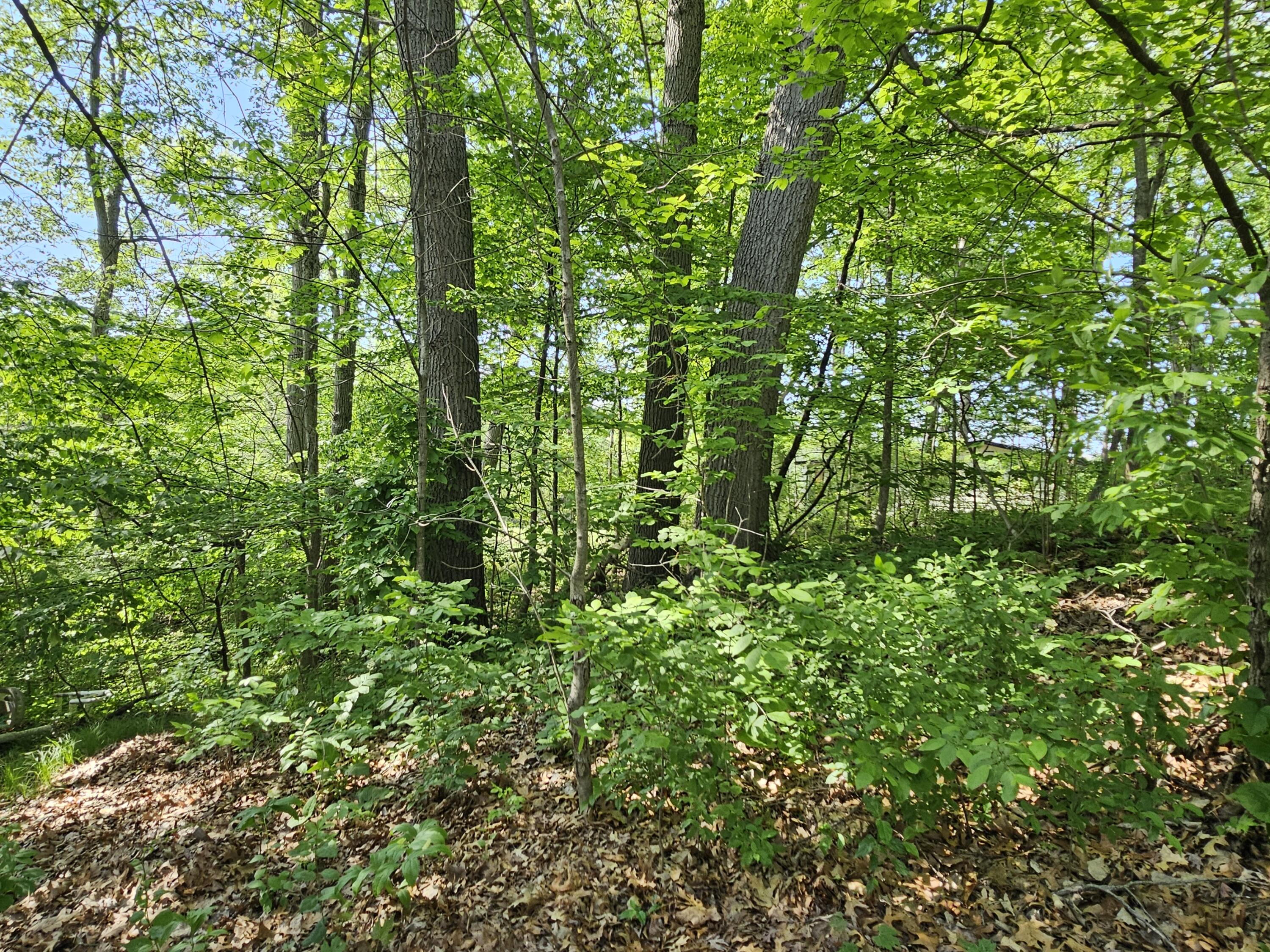 5350 Eze Street Property Photo 30