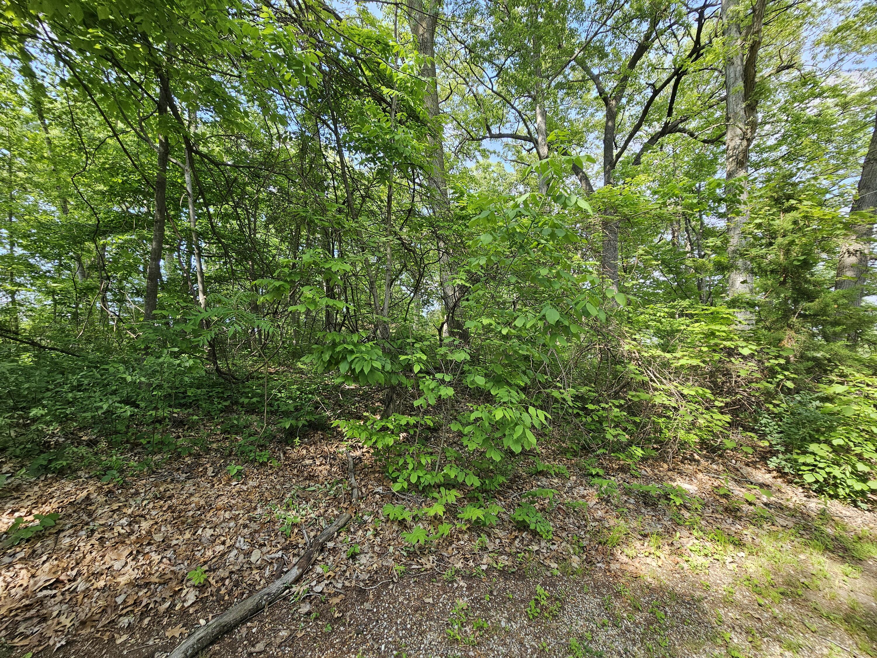5350 Eze Street Property Photo 32
