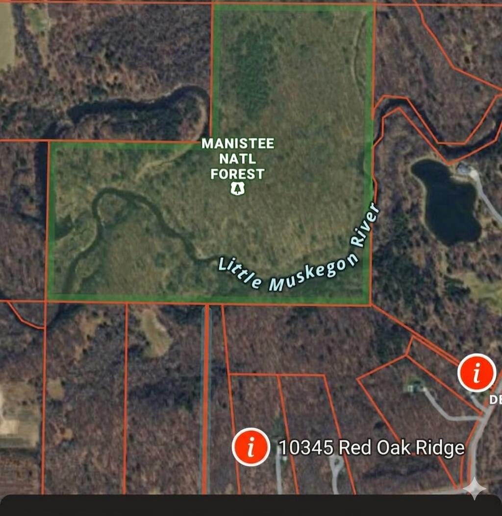 10345 Red Oak Ridge Property Photo 81