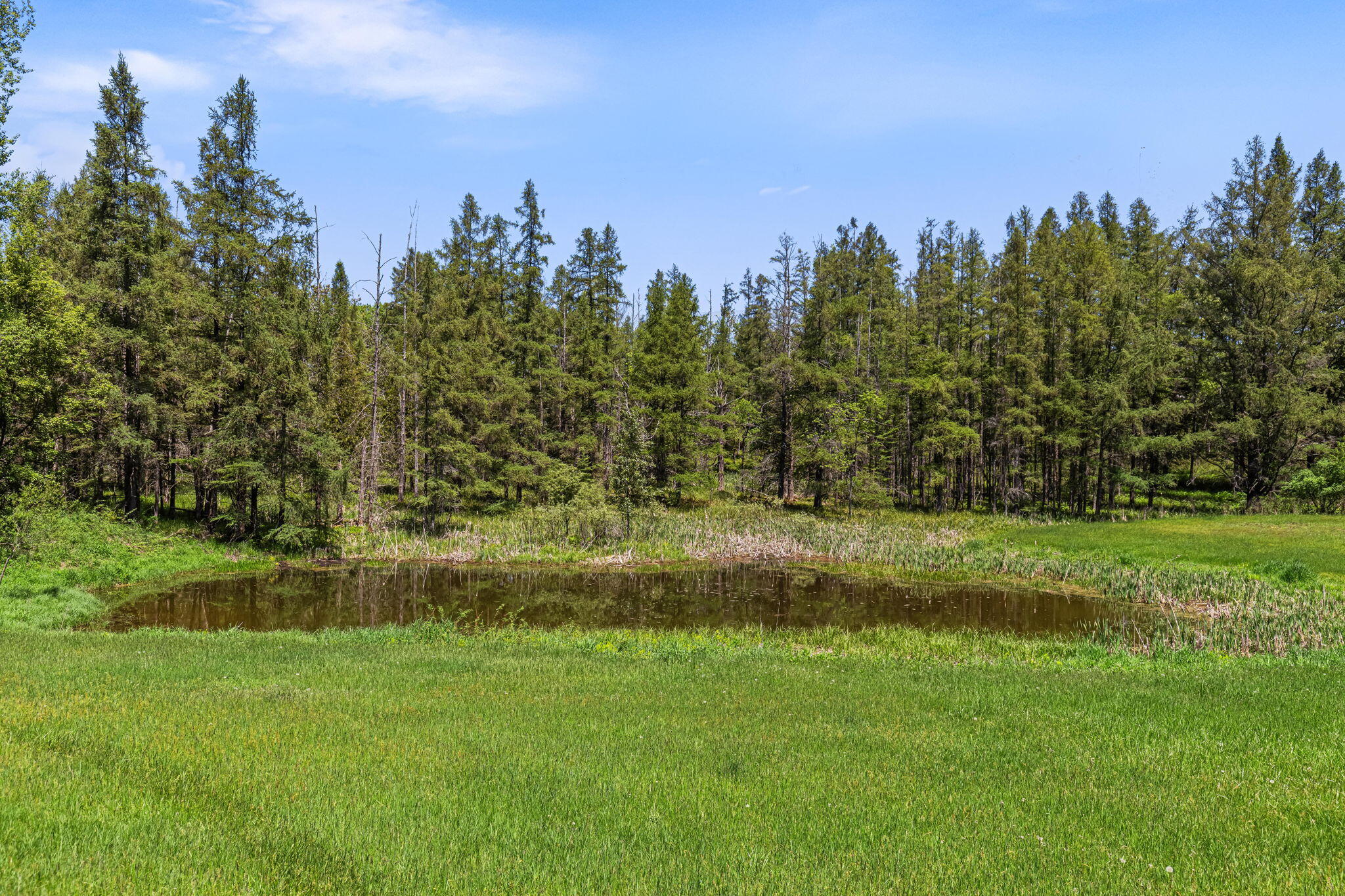 15902 Penesal Road Property Photo 48