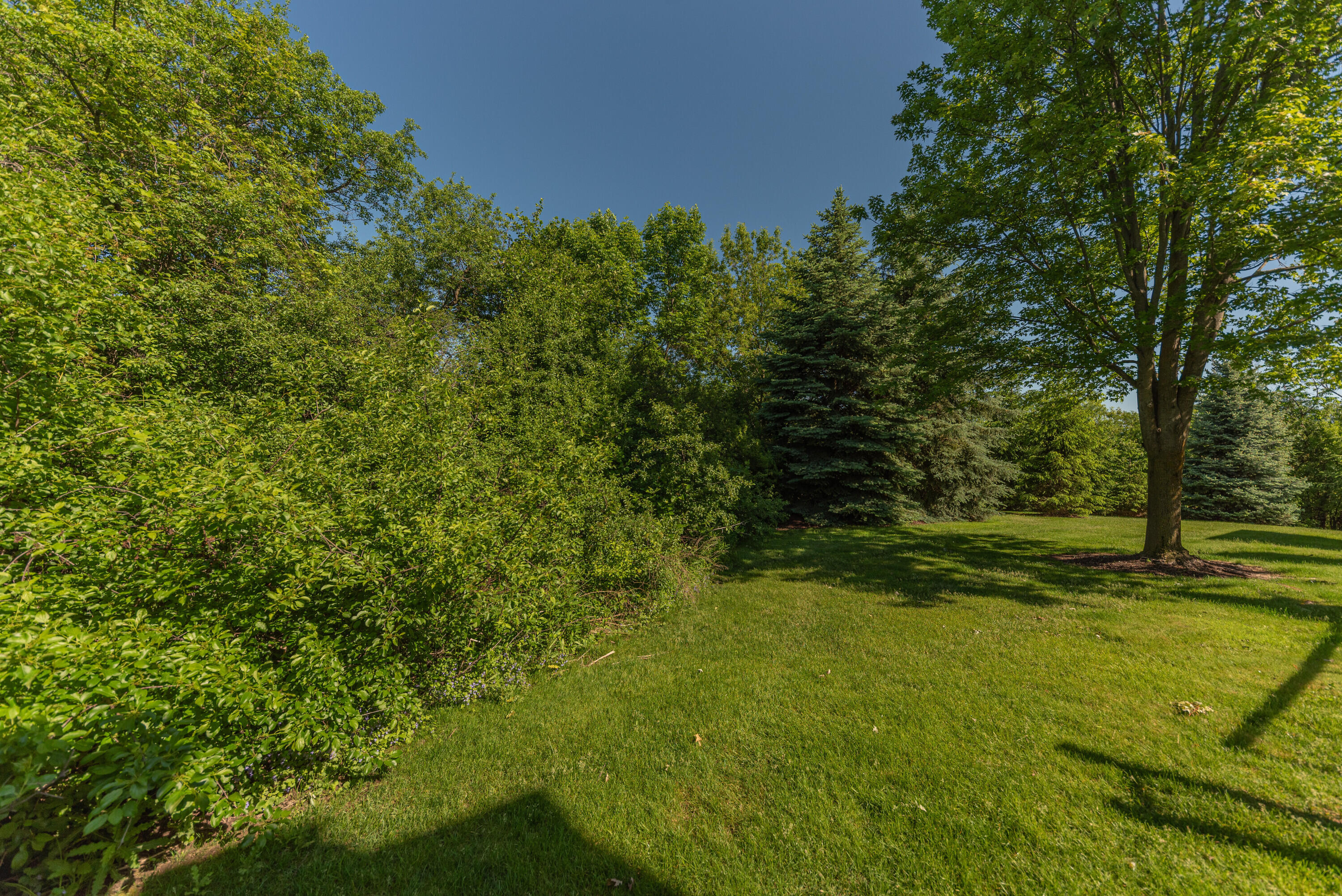 2243 Old Falls Drive Property Photo 64