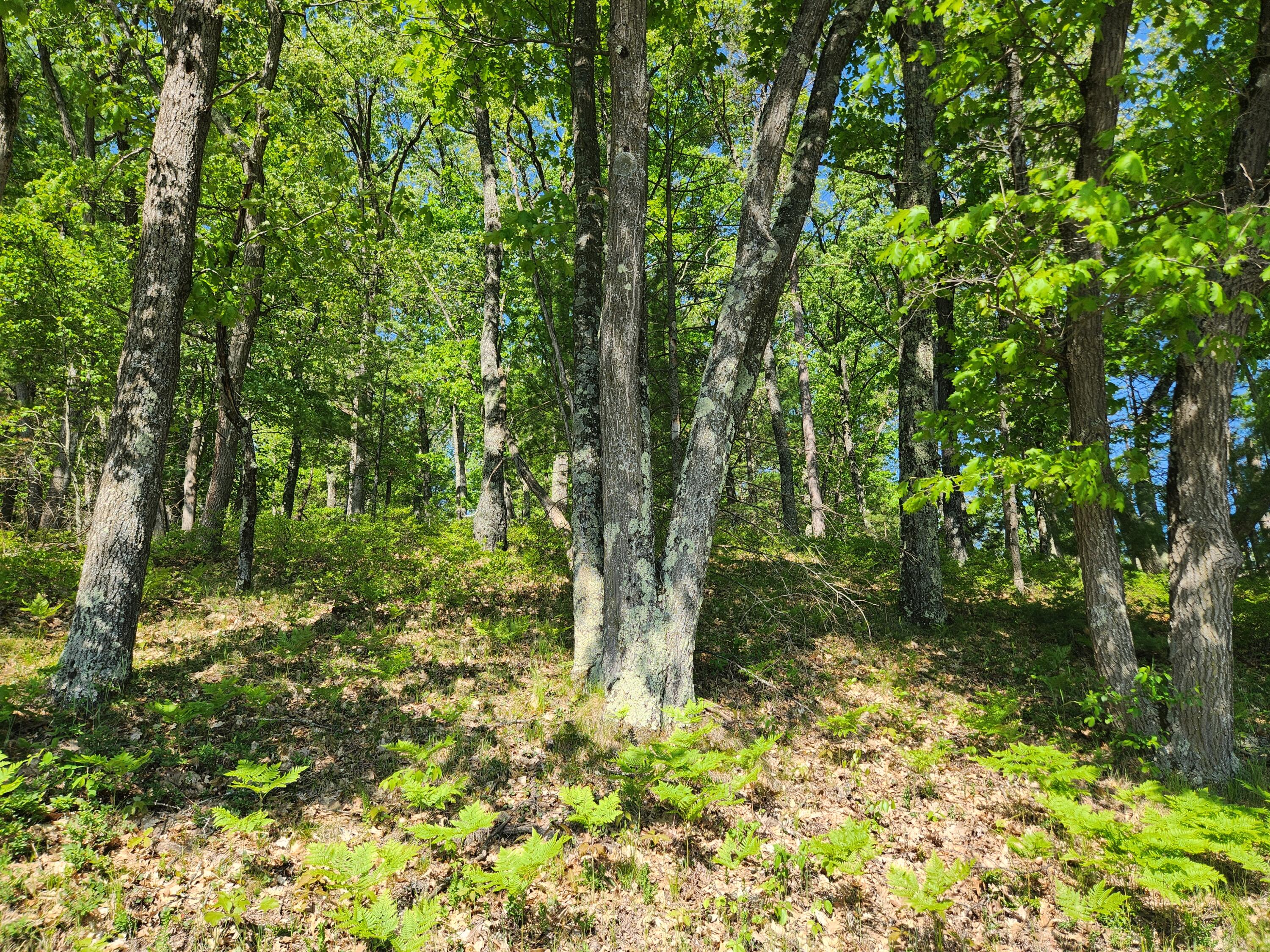 4362 S Nugent Scenic Drive Property Photo 2