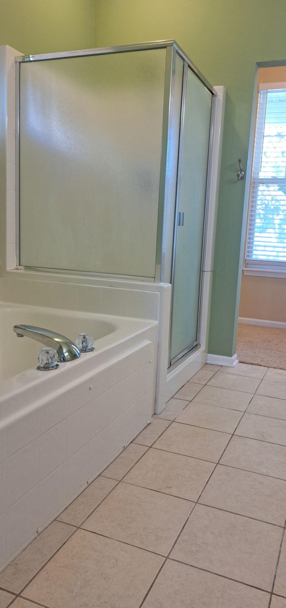 573 Brownstone Street Property Photo 18