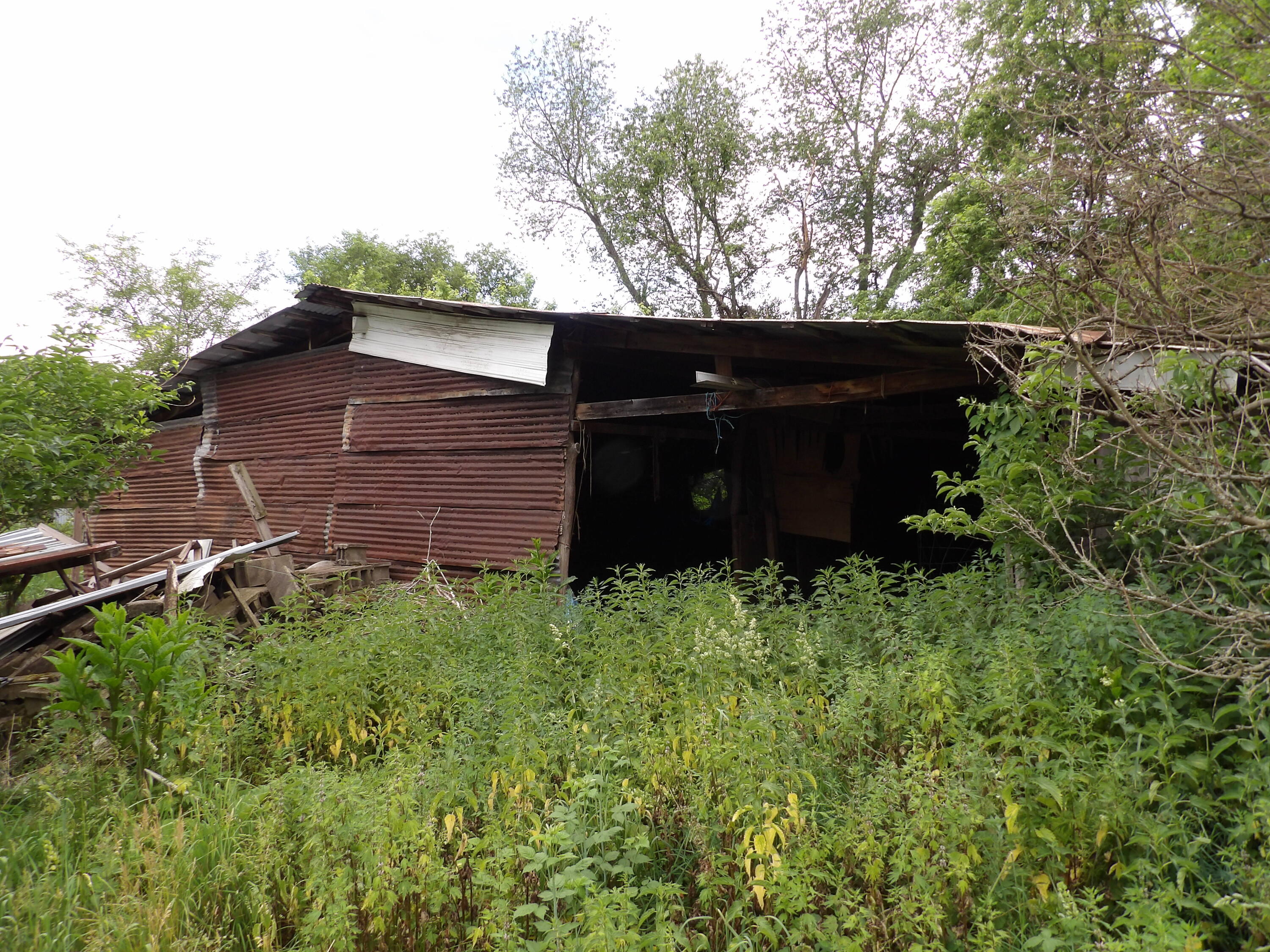 1812 Bell Road Property Photo 4