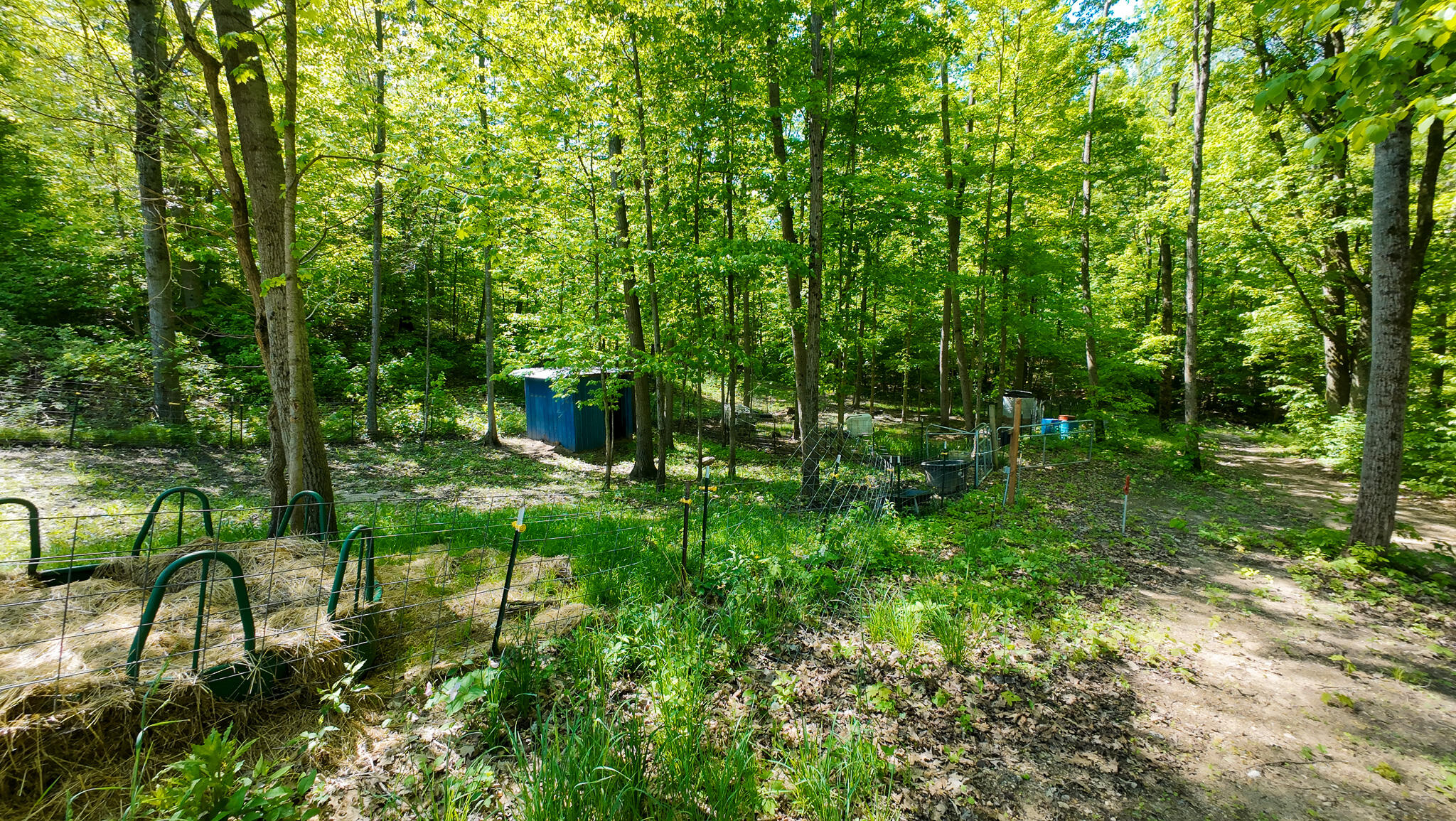 4196 W 4 Mile Road Property Photo 37