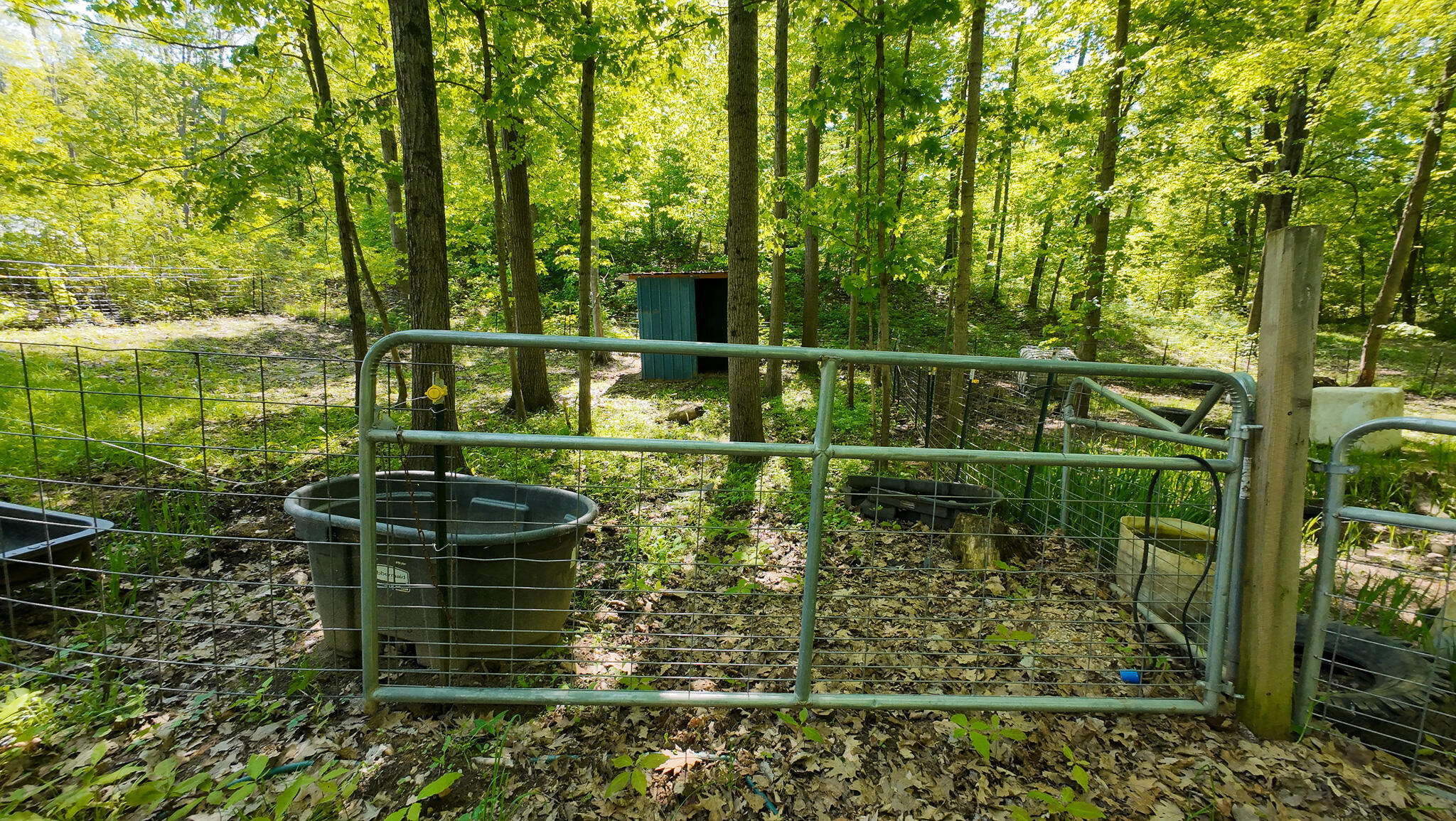 4196 W 4 Mile Road Property Photo 38
