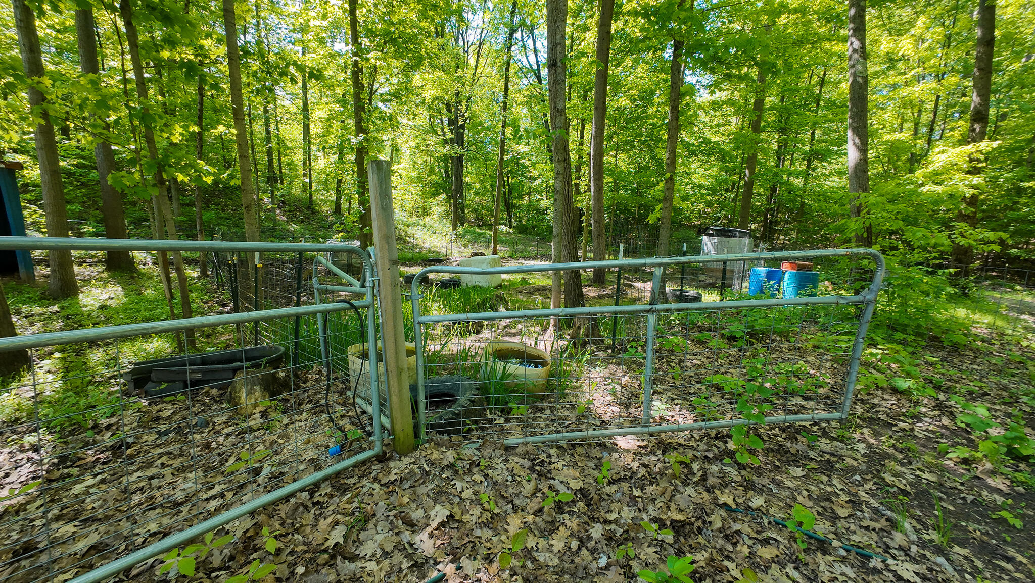 4196 W 4 Mile Road Property Photo 39