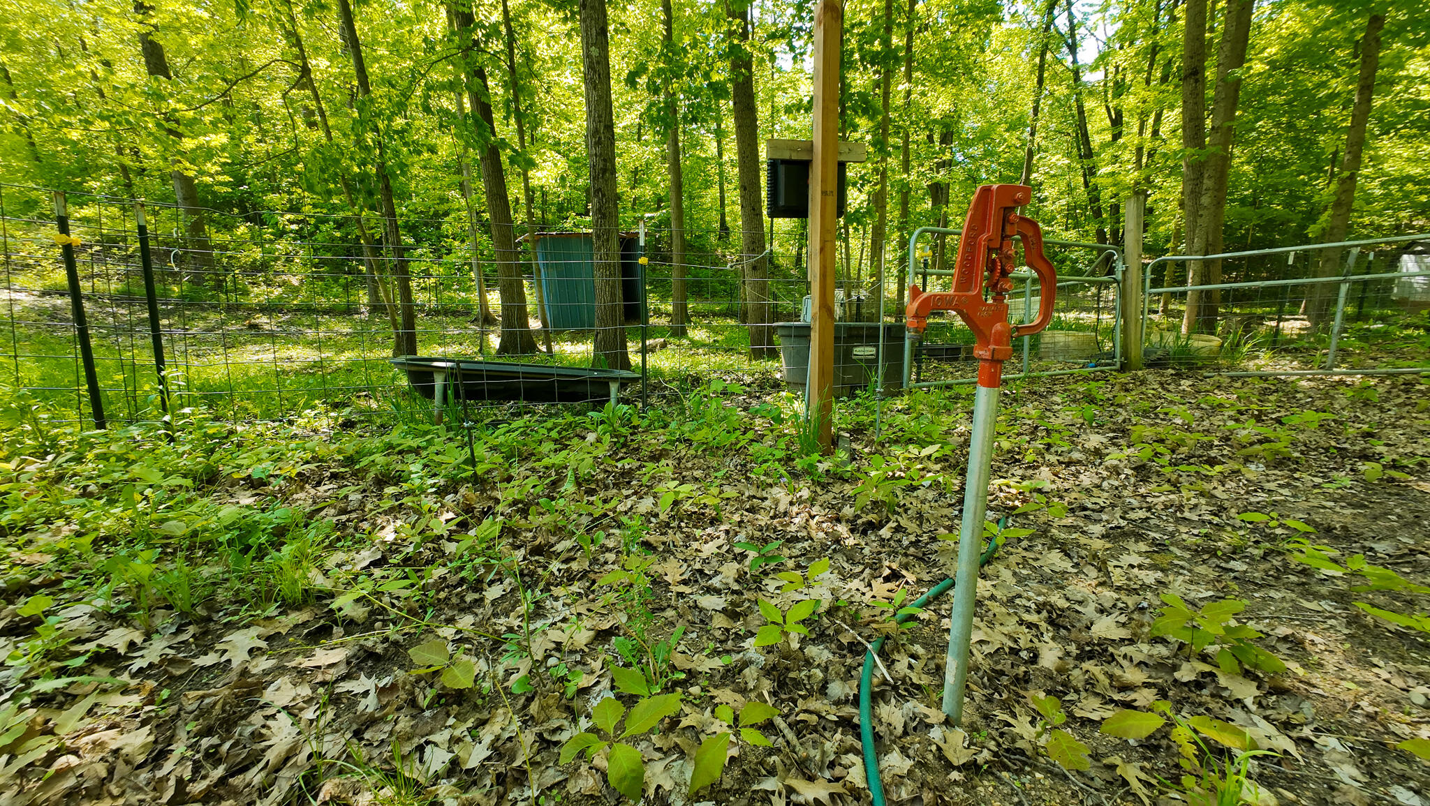4196 W 4 Mile Road Property Photo 40