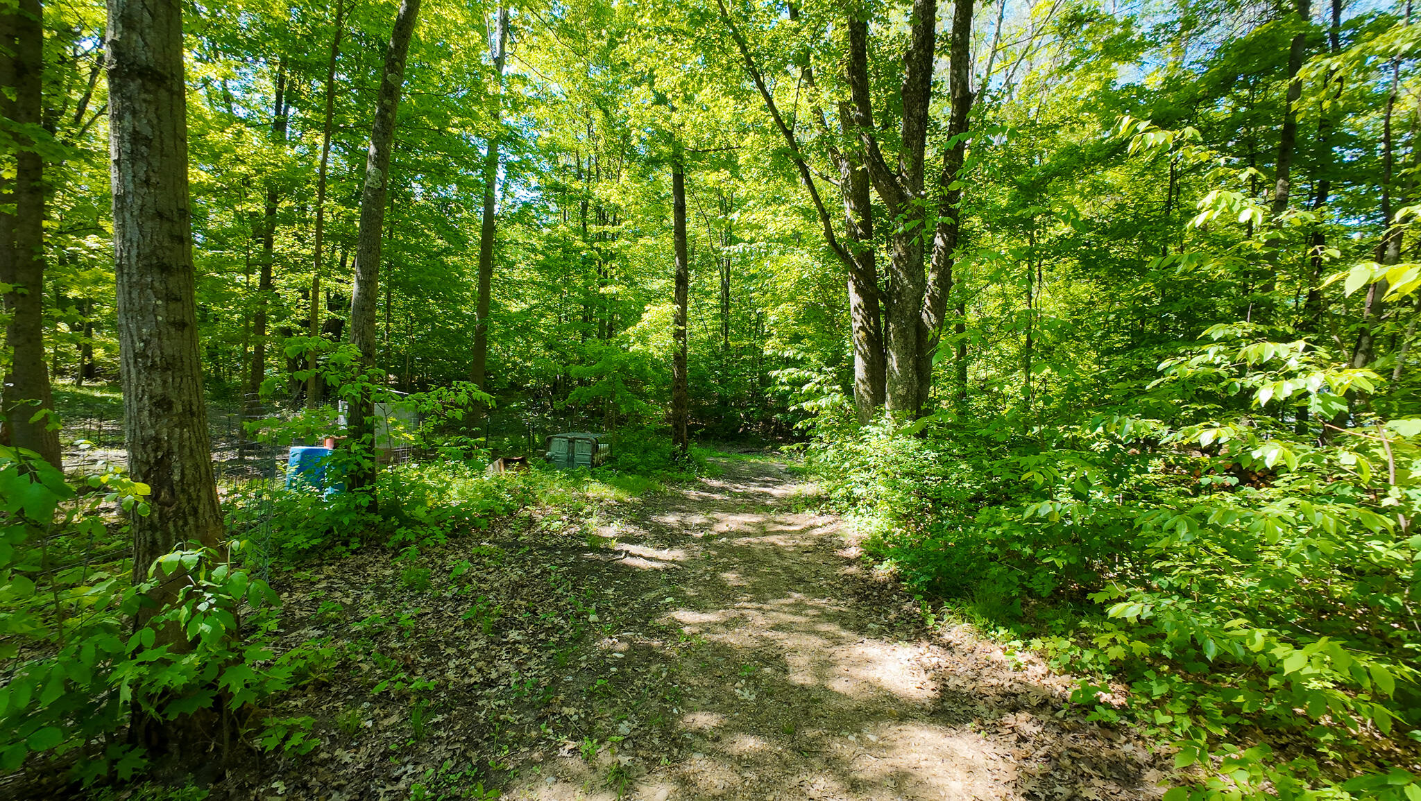 4196 W 4 Mile Road Property Photo 41