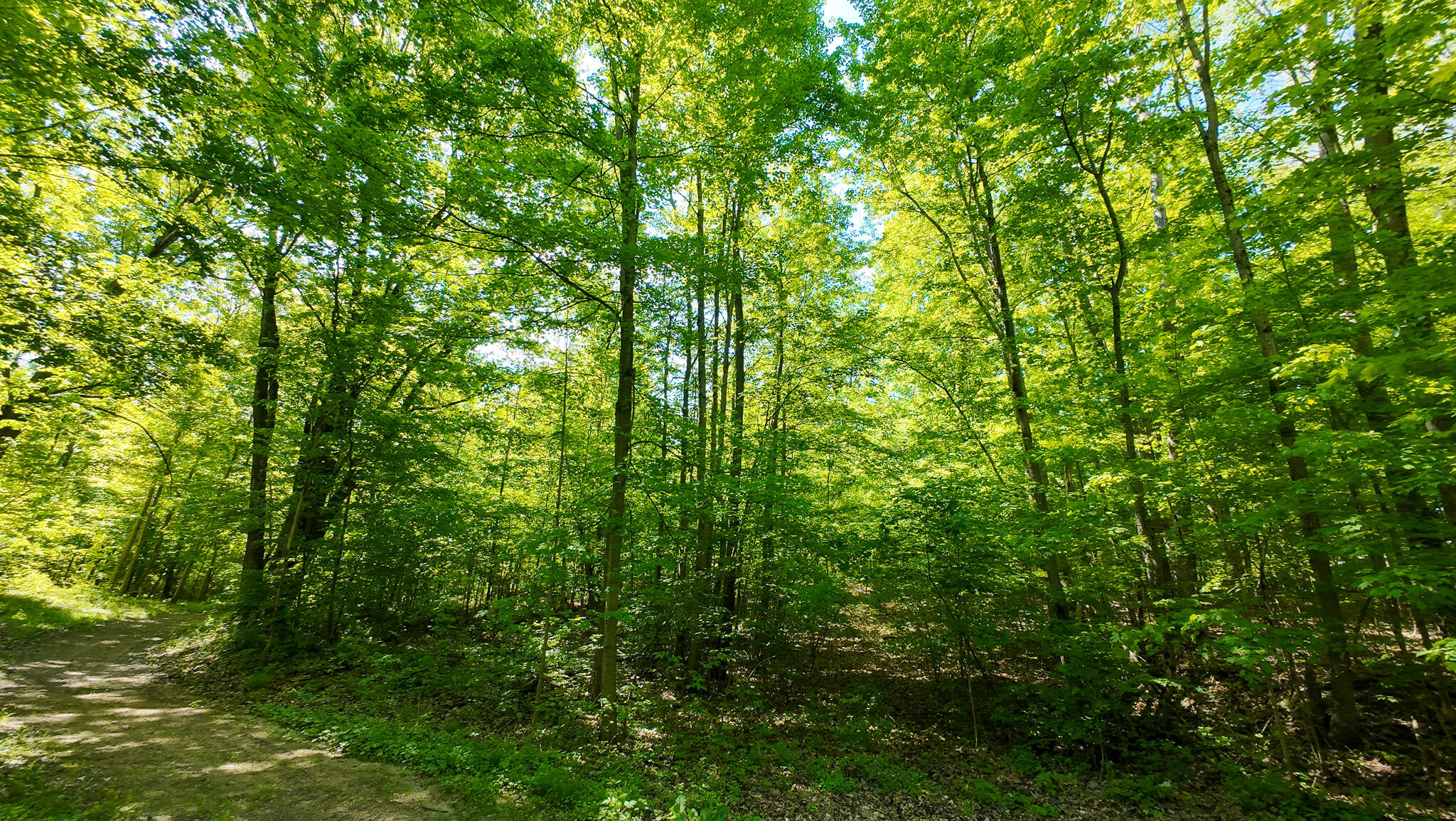 4196 W 4 Mile Road Property Photo 42