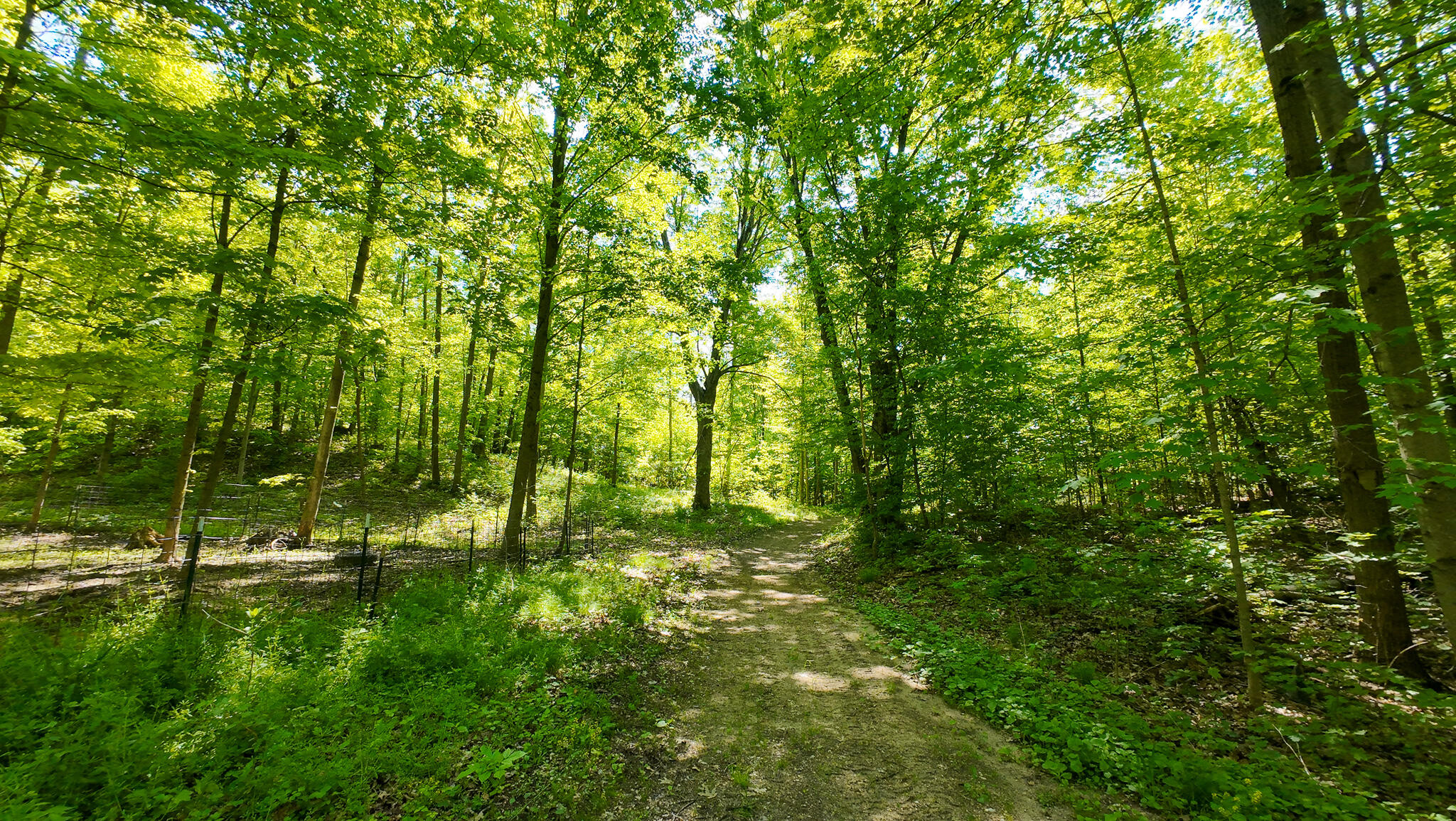 4196 W 4 Mile Road Property Photo 43