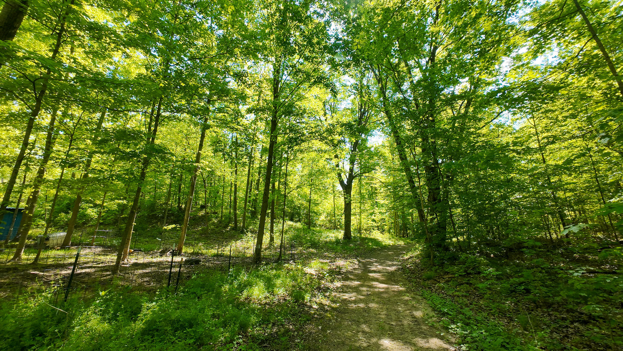 4196 W 4 Mile Road Property Photo 44