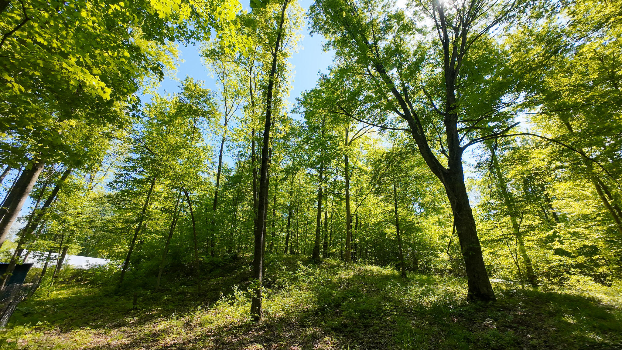 4196 W 4 Mile Road Property Photo 45