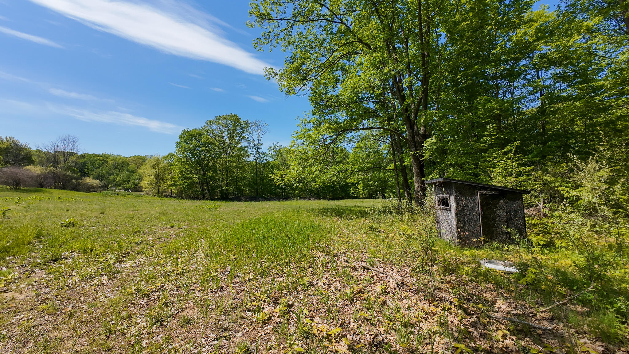 4196 W 4 Mile Road Property Photo 48