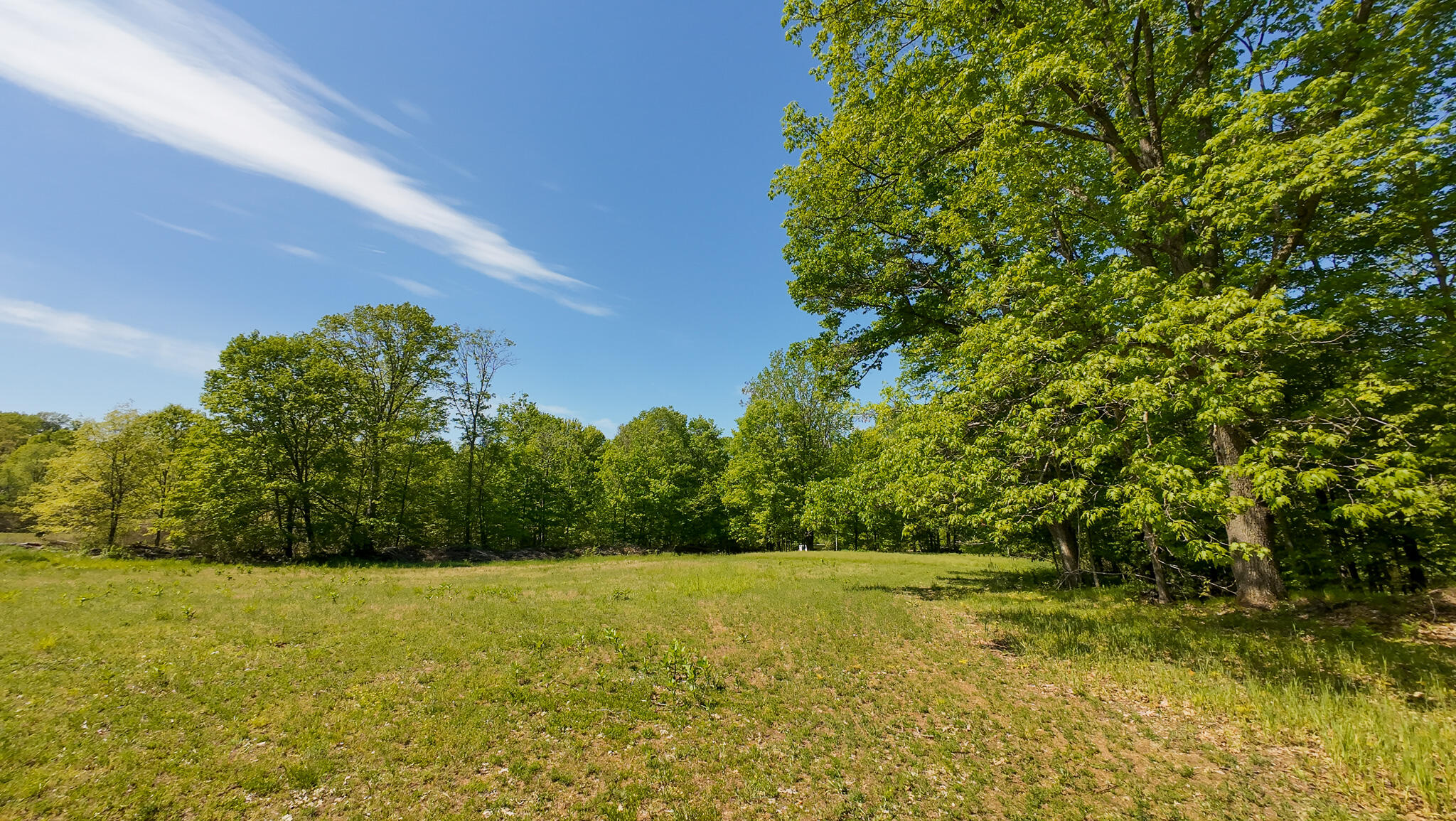 4196 W 4 Mile Road Property Photo 49