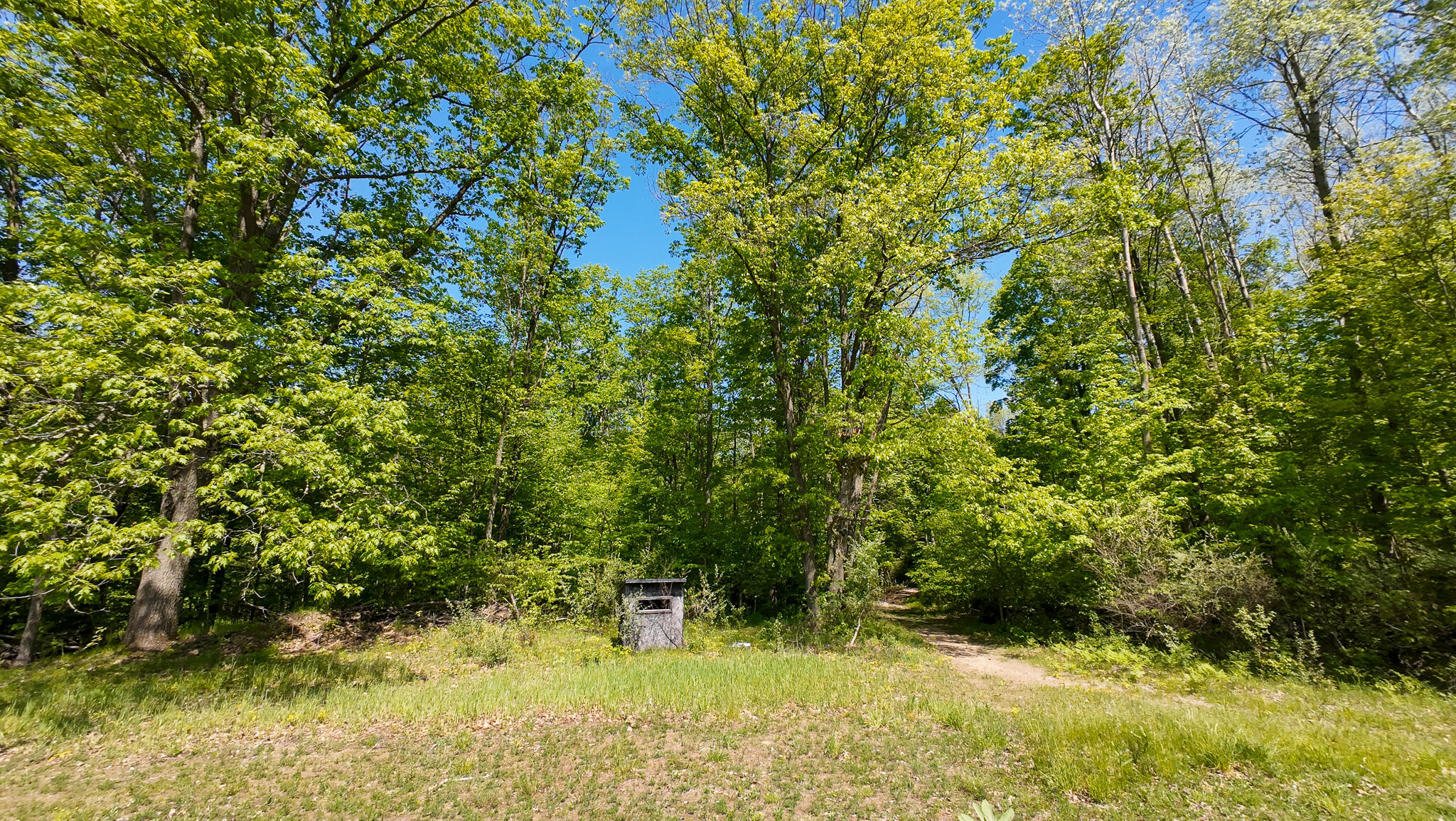 4196 W 4 Mile Road Property Photo 50