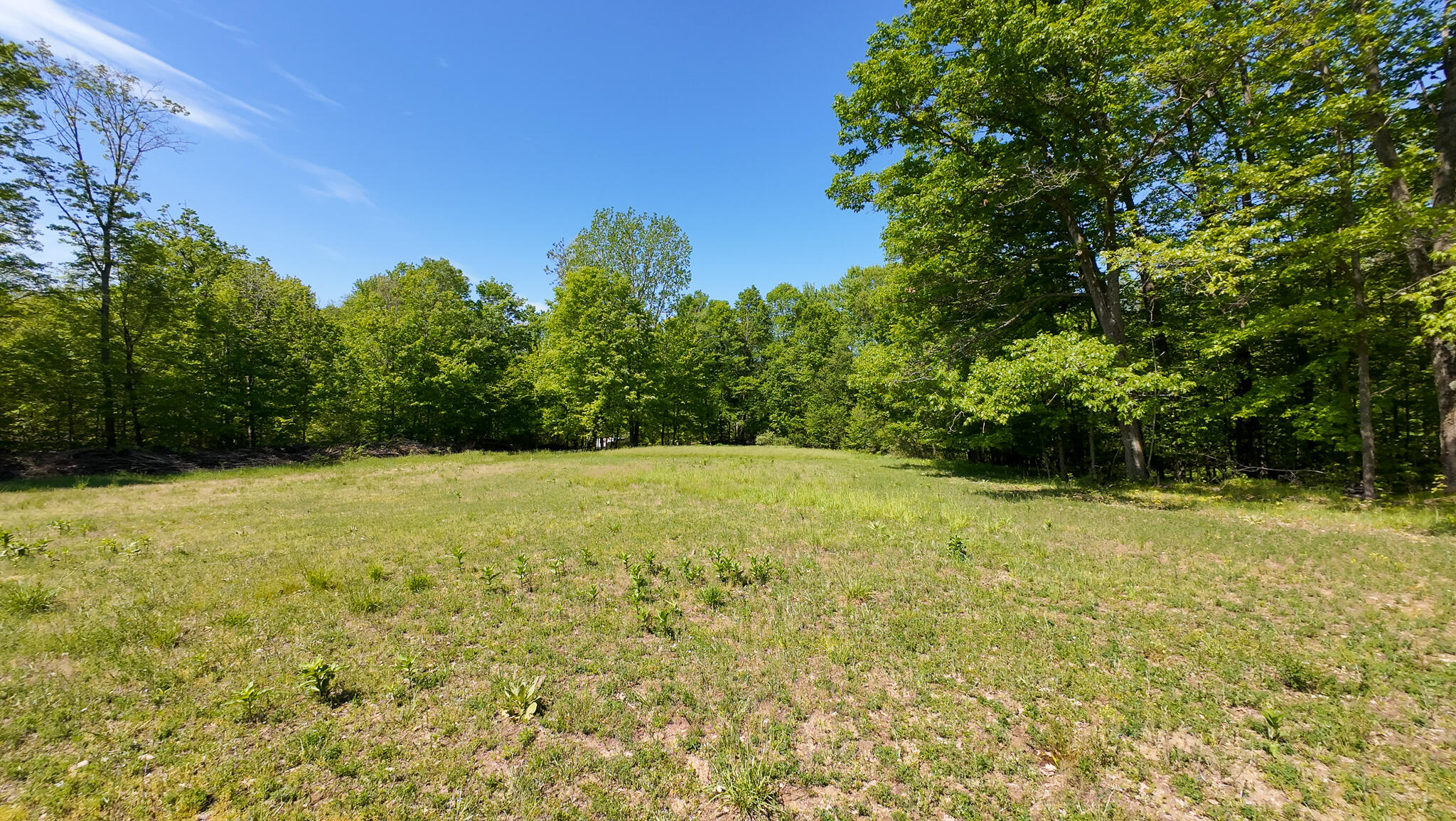 4196 W 4 Mile Road Property Photo 51