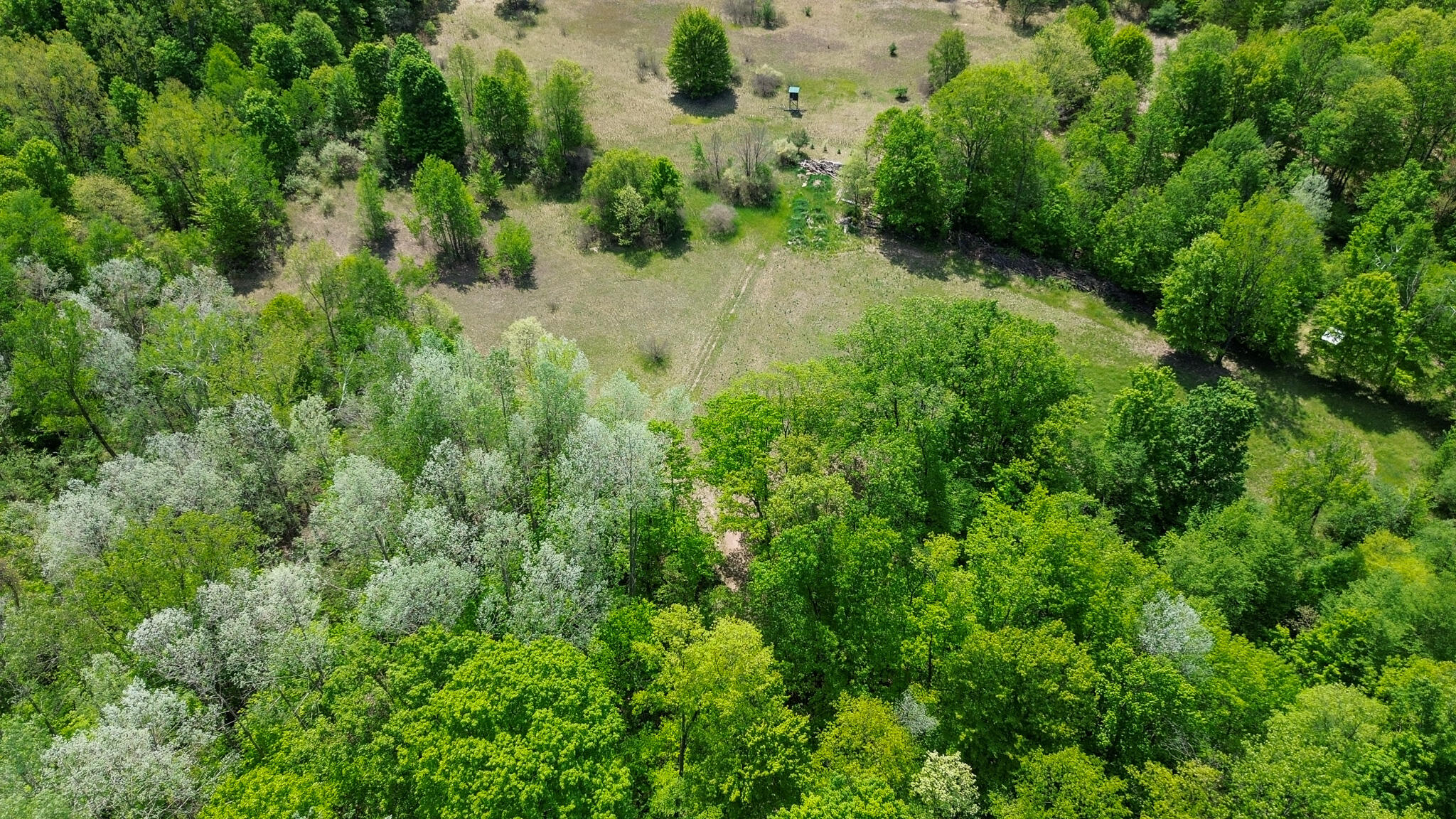 4196 W 4 Mile Road Property Photo 55