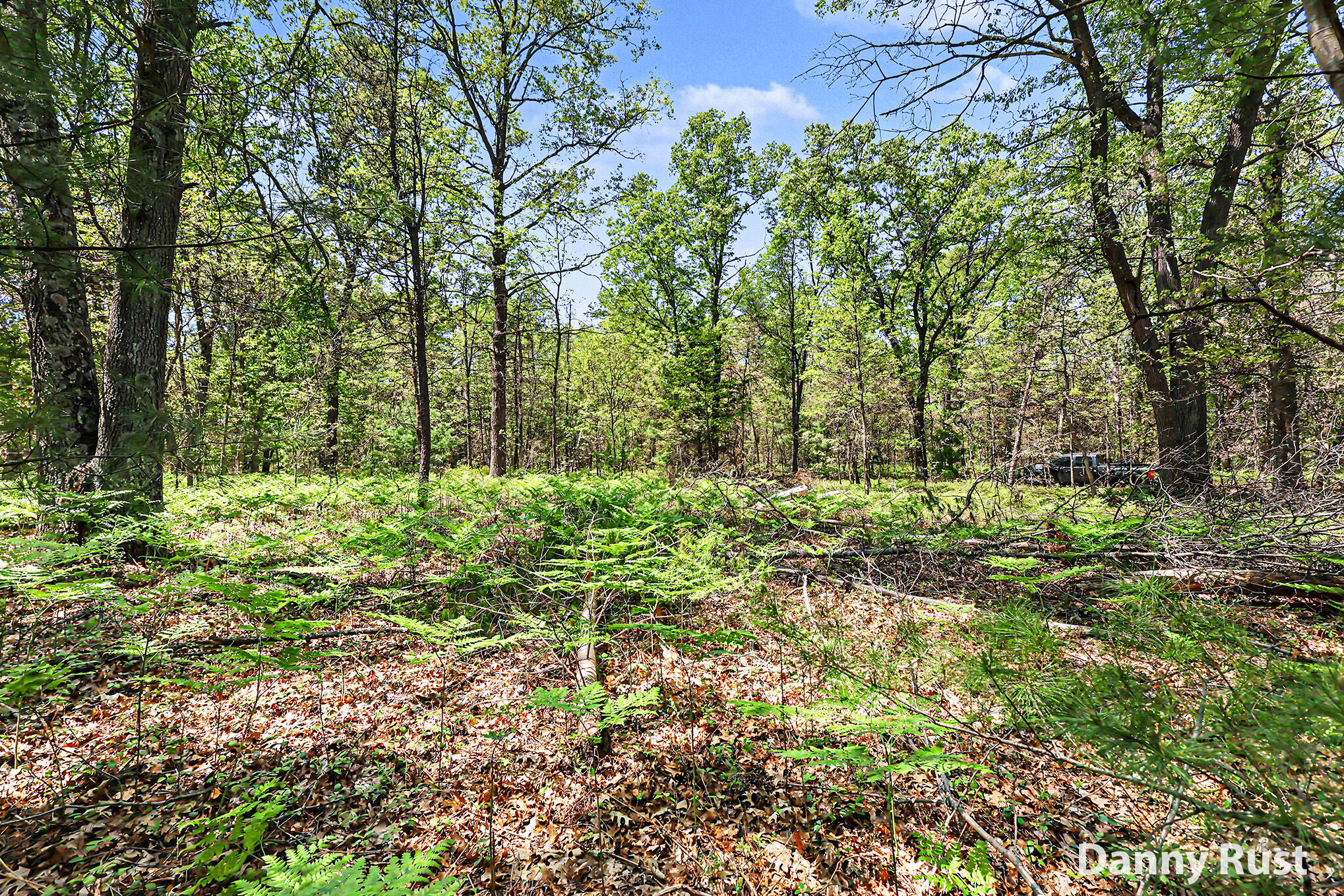 Vacant Land Property Photo 1