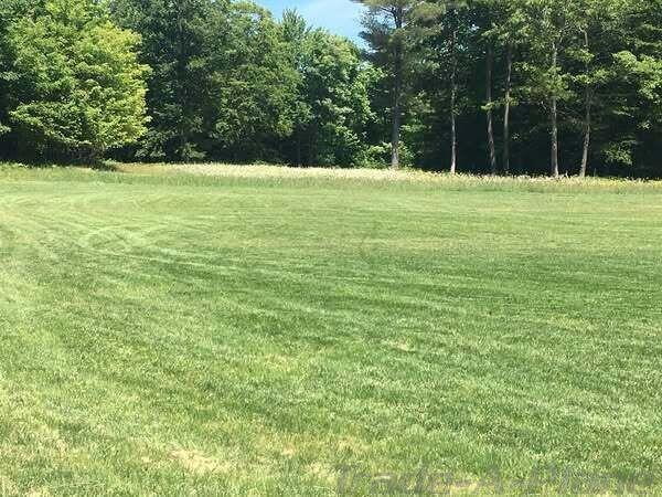 0 5 Acres W Weaver Road Parcel B Per Survey Property Photo 8