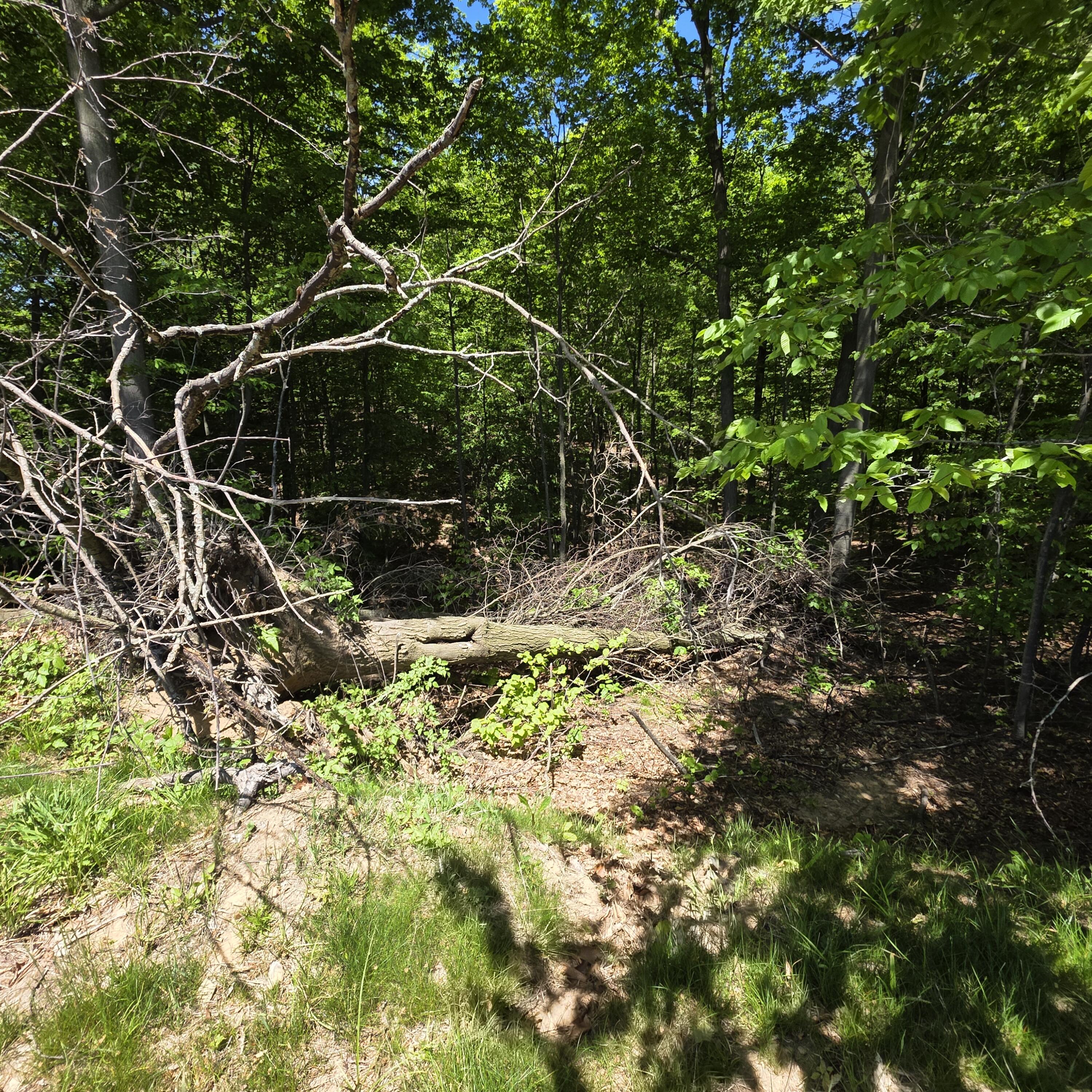 0 5 Acres W Weaver Road Parcel B Per Survey Property Photo 10