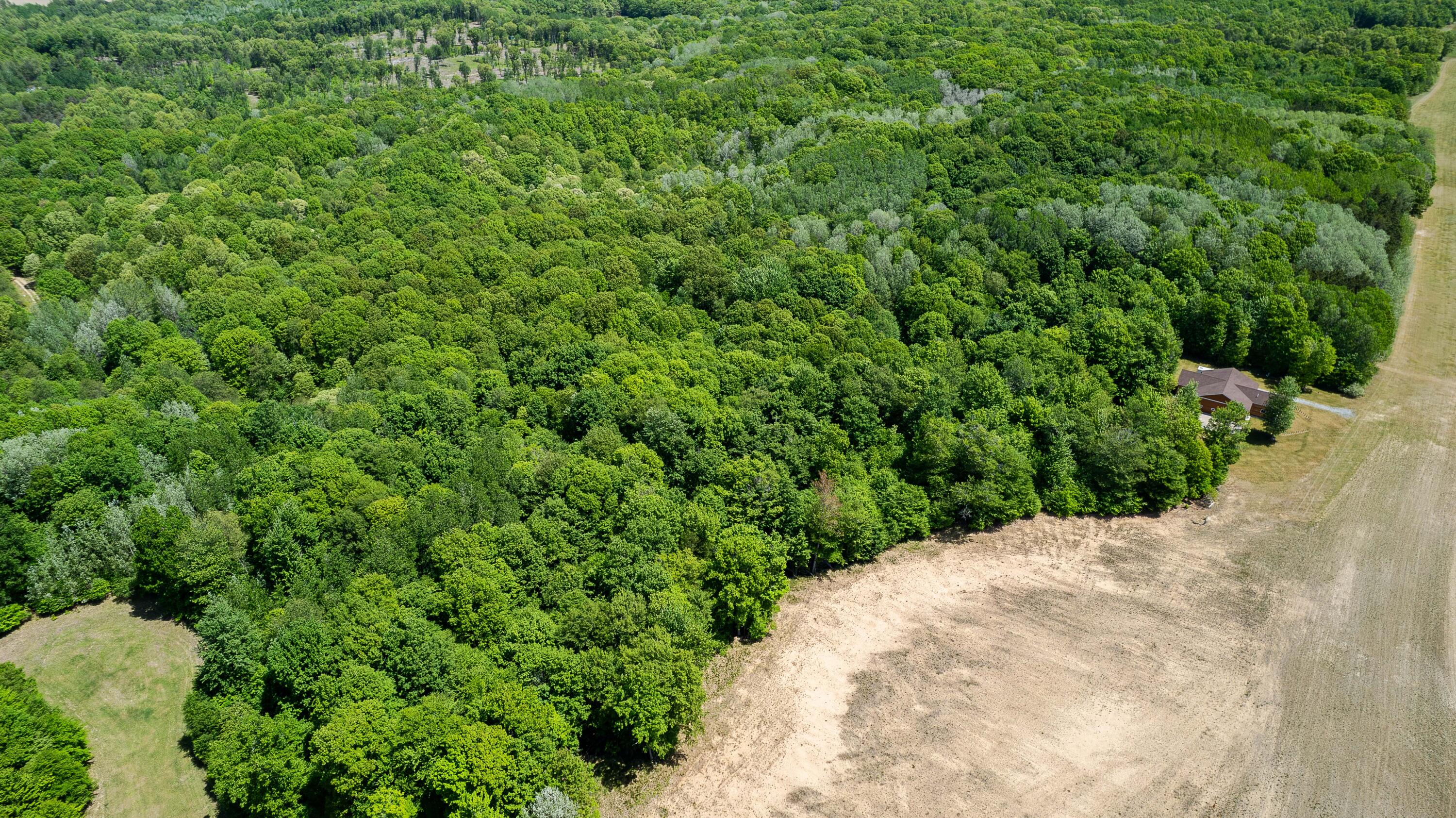 0 5 Acres W Weaver Road Parcel B Per Survey Property Photo 16