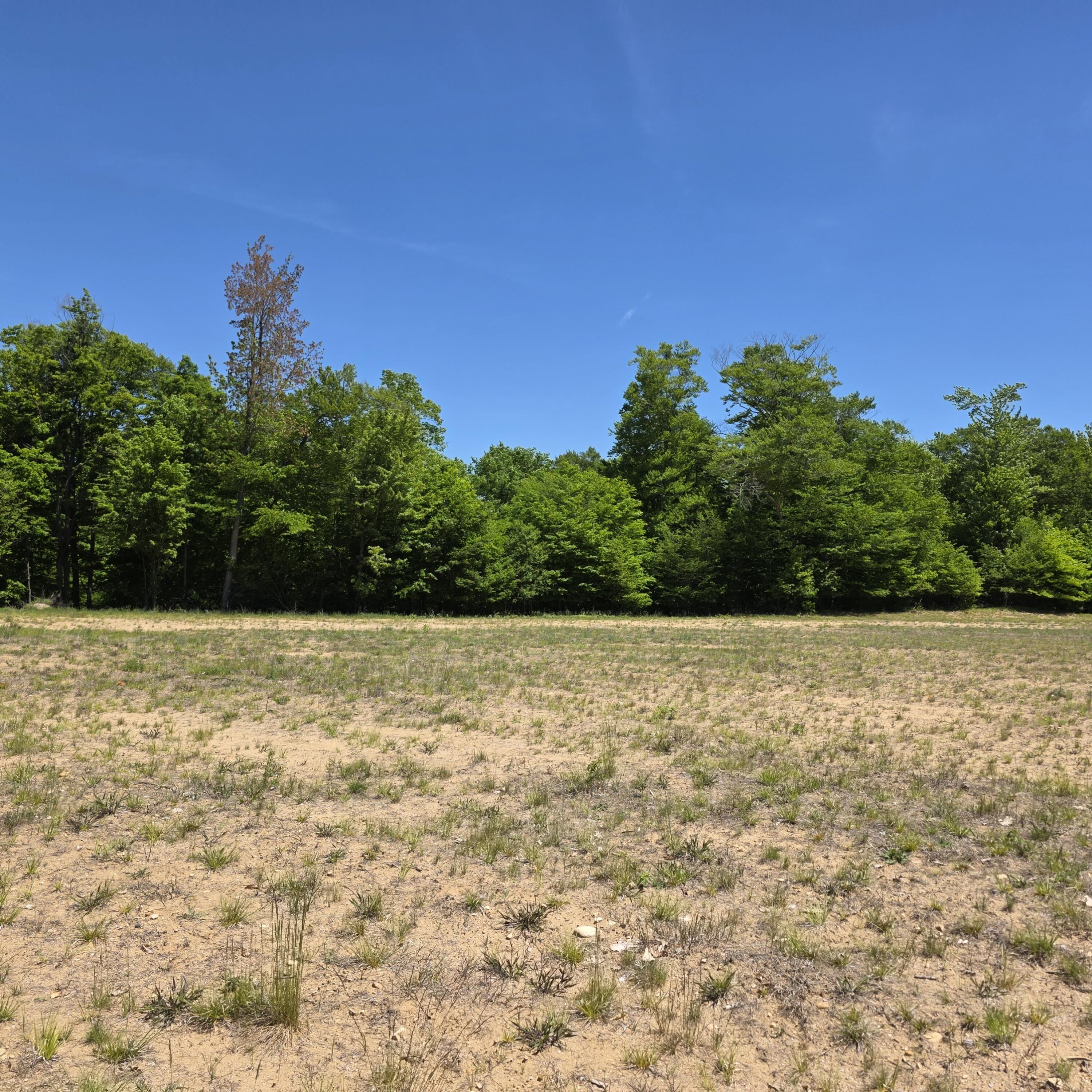 0 5 Acres W Weaver Road Parcel B Per Survey Property Photo 19