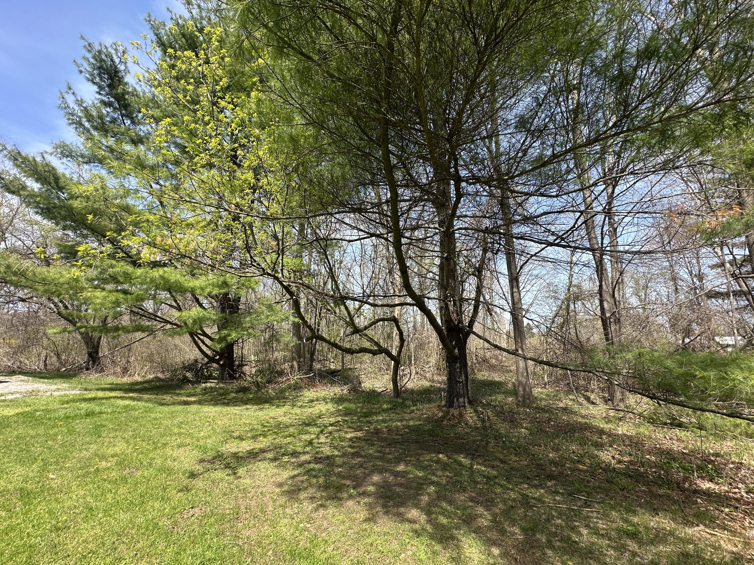 Atkins Road Property Photo 13